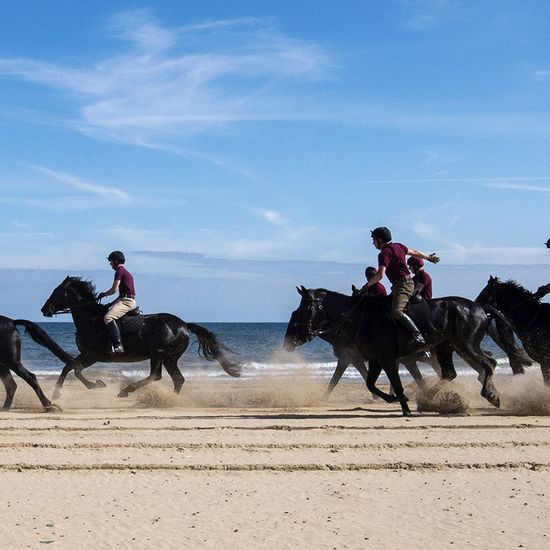 Household Cavalry