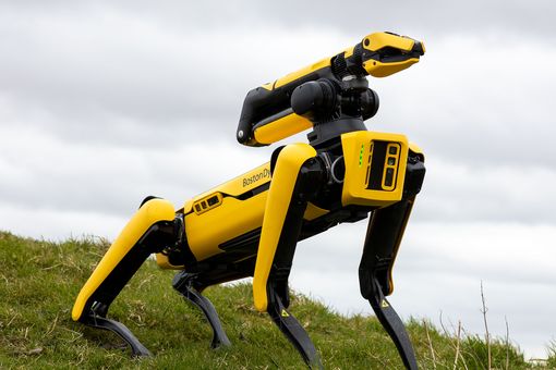 A yellow robotic dog with black legs stands on a grassy hill under a cloudy sky.