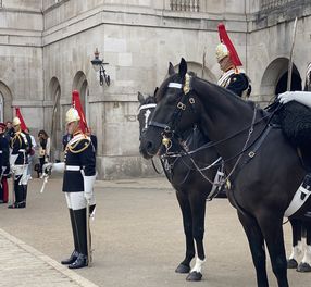 Household Cavalry Soldier