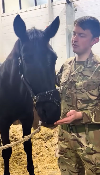 Soldier in uniform standing next to a horse in a stable.