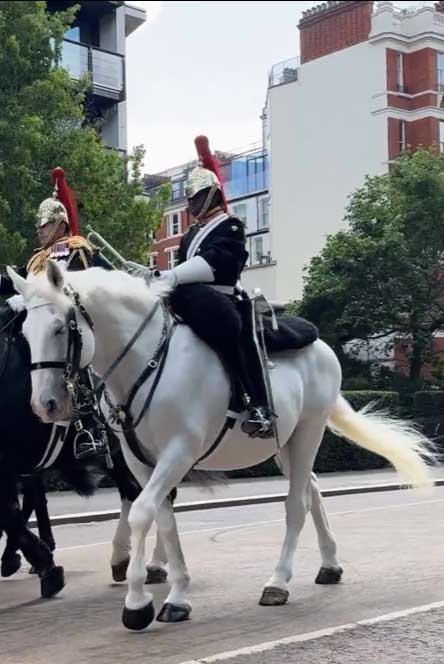Member of the household cavalry riding through the streets of London on a grey horse.