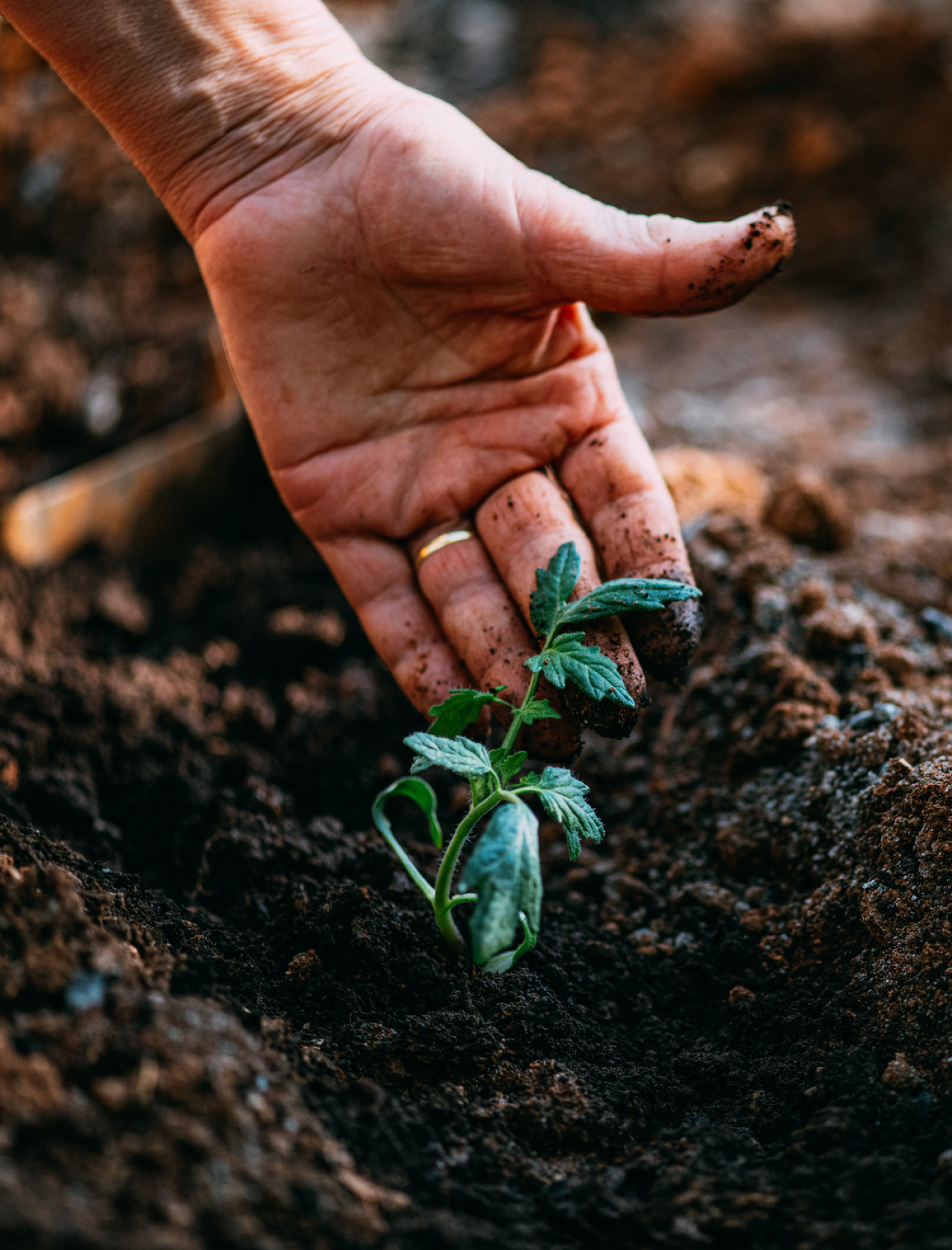 Message From Our CEO