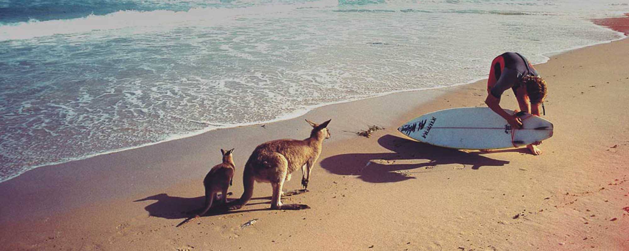 Un anno in Australia