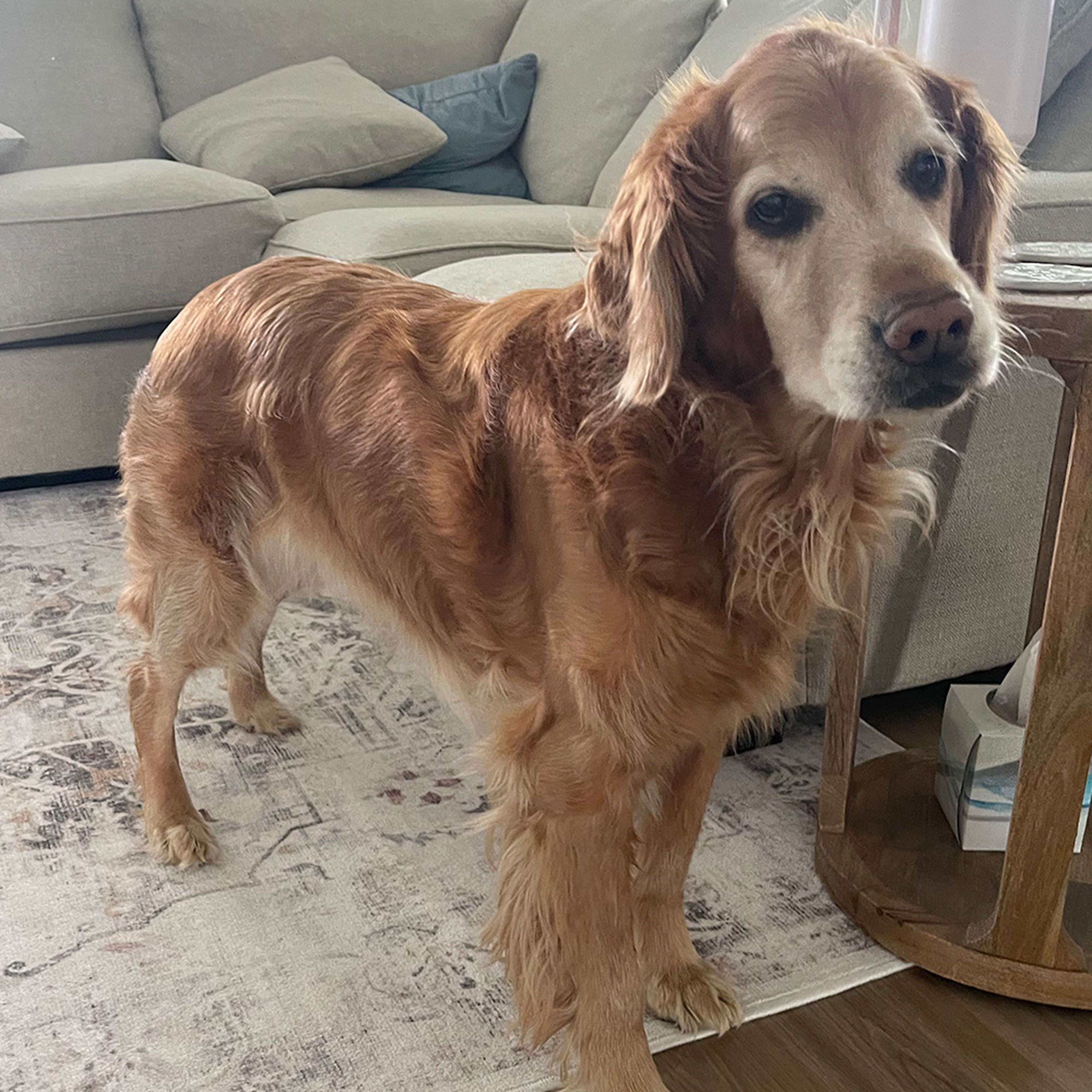 Remi