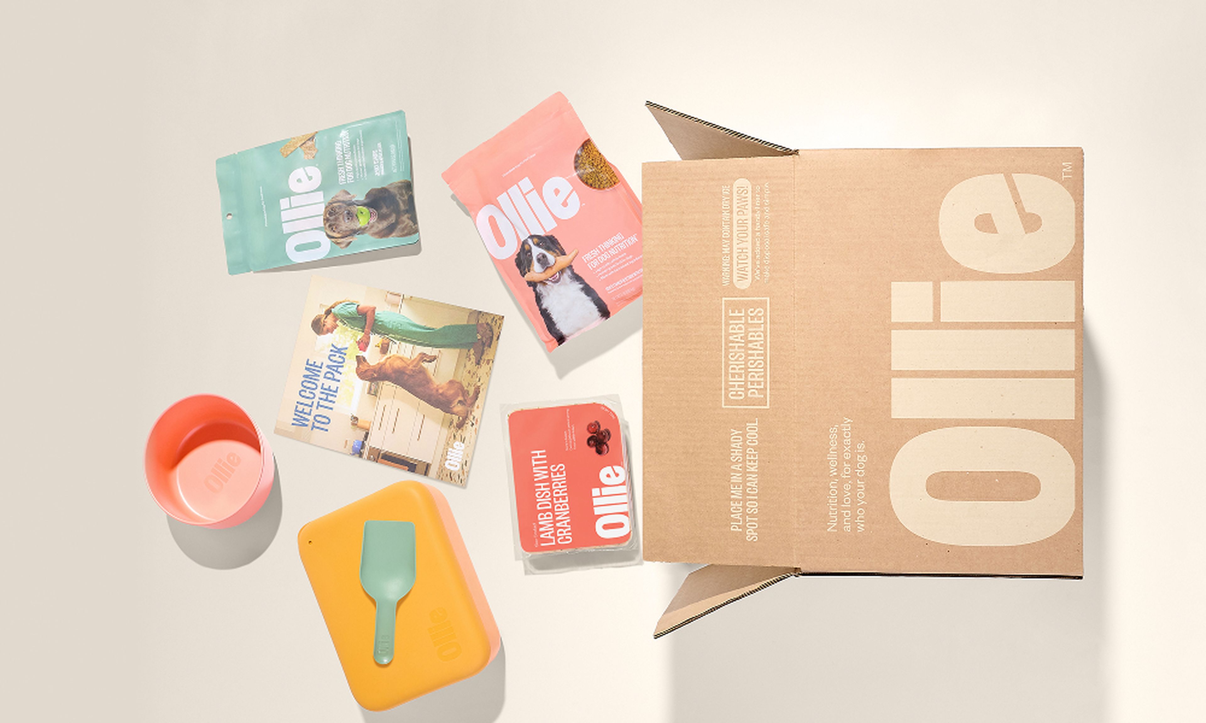 Box labeled "Ollie" with dog food packets, a yellow container, a scoop, and an orange bowl arranged around it on a light background.