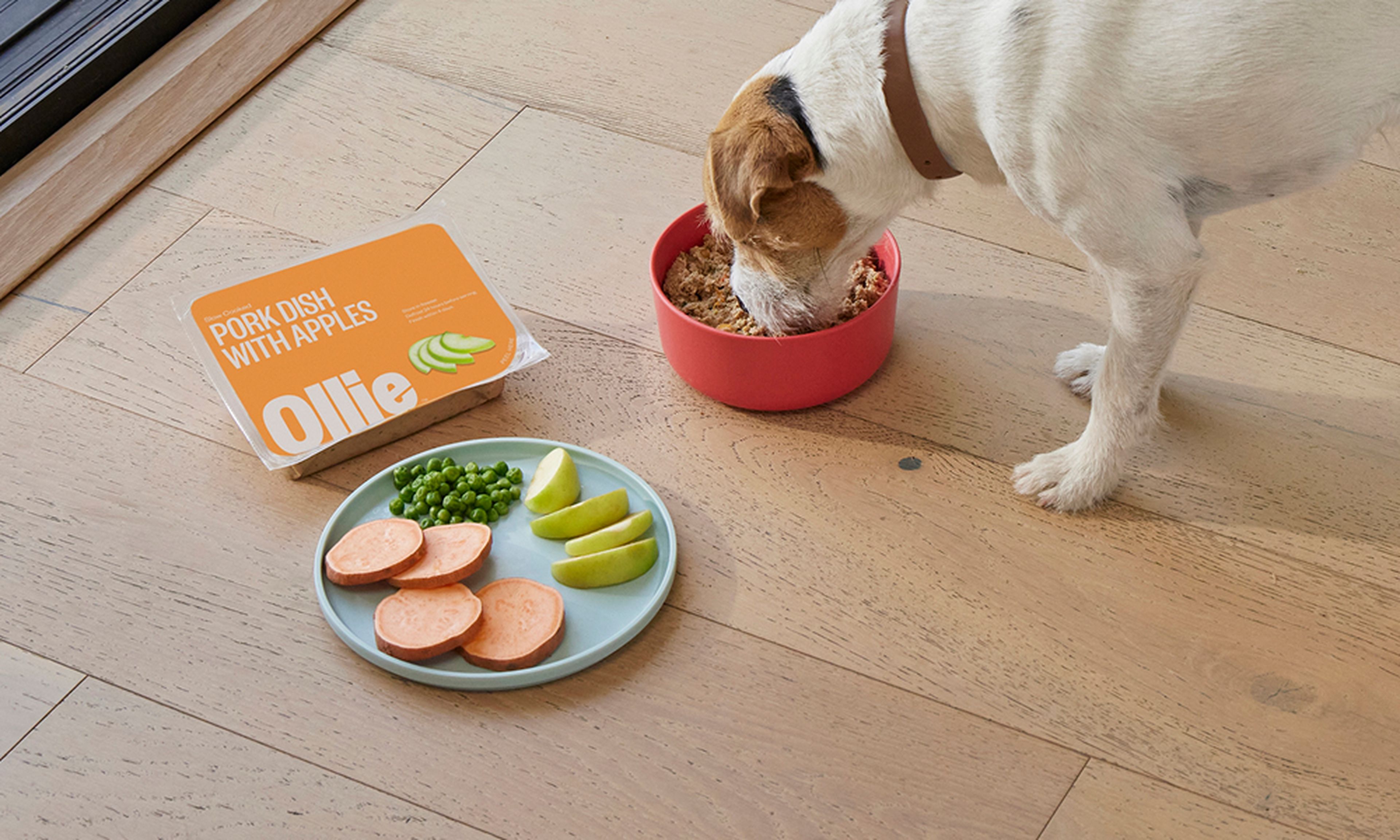 A dog eats from a red bowl on a wooden floor, next to a plate with sweet potatoes, peas, and apples, and a box labeled "Pork Dish with Apples."