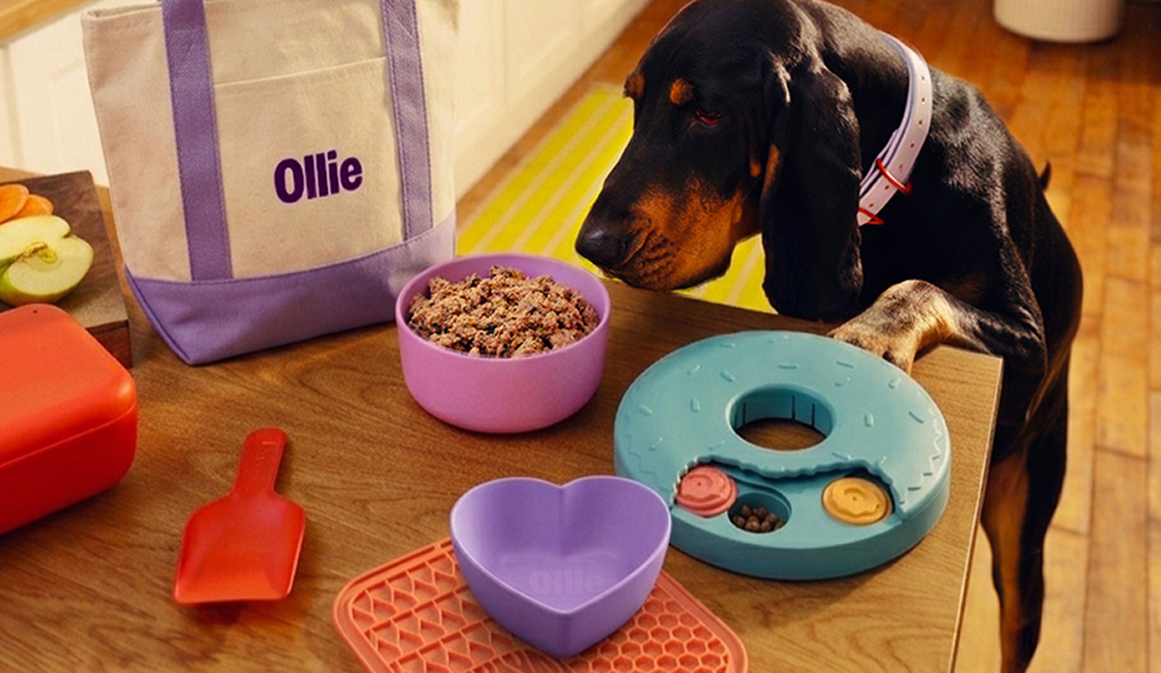 Image of a pup sitting with our selection of free items