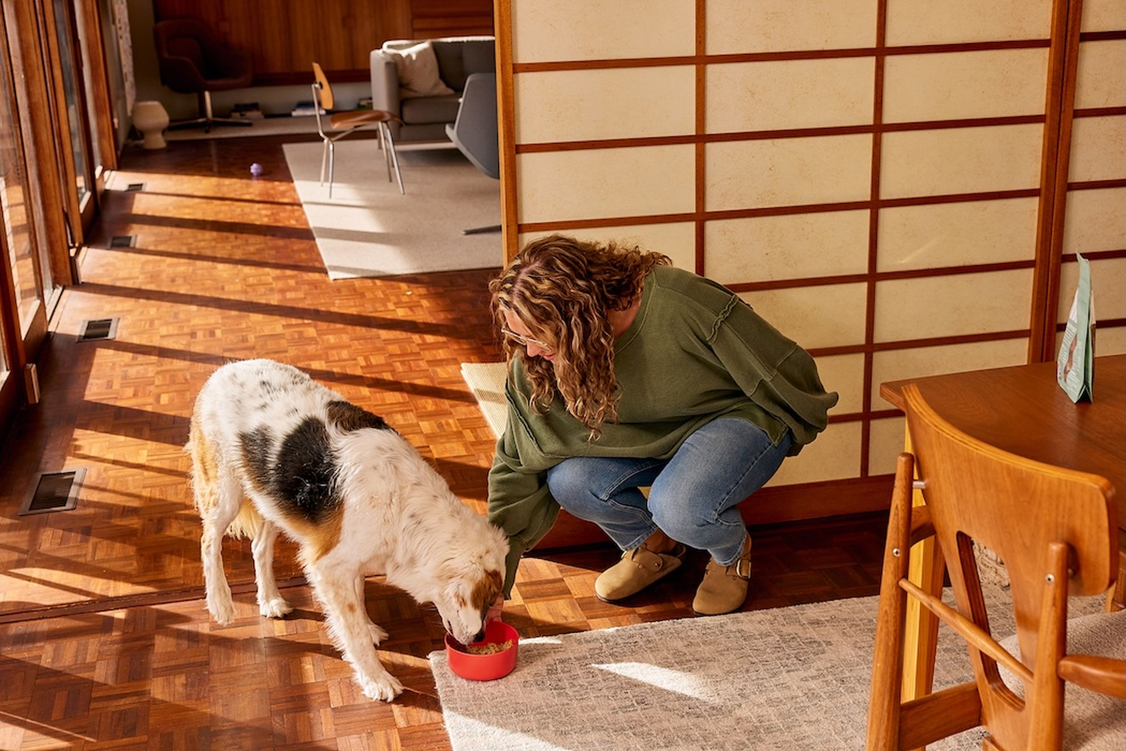 A woman in a green sweater kneels beside a dog eating from a red bowl in a sunlit room with wooden floors and furniture.