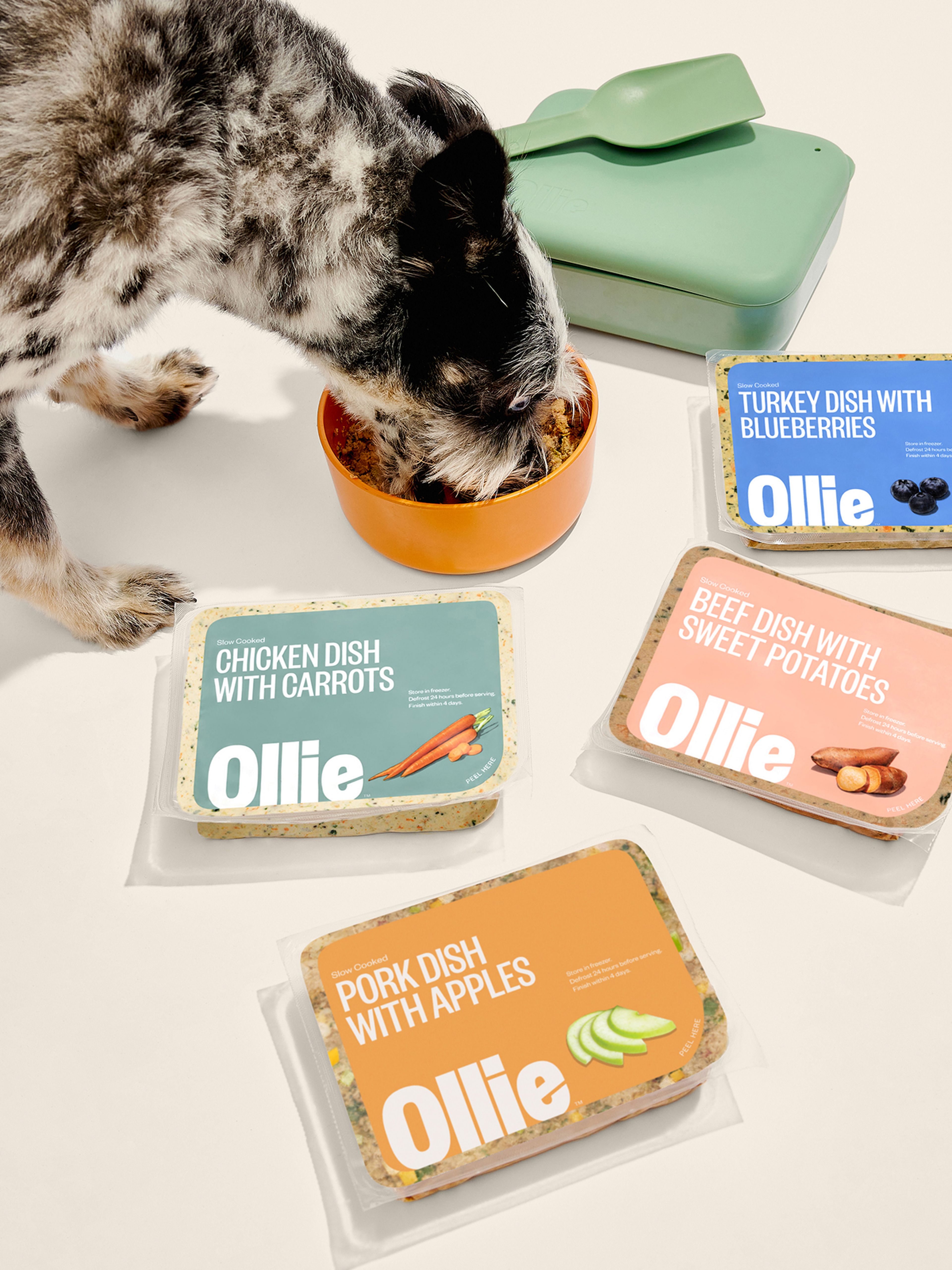 Dog eating from a bowl surrounded by various Ollie pet food packages labeled with chicken, turkey, beef, and pork dishes.