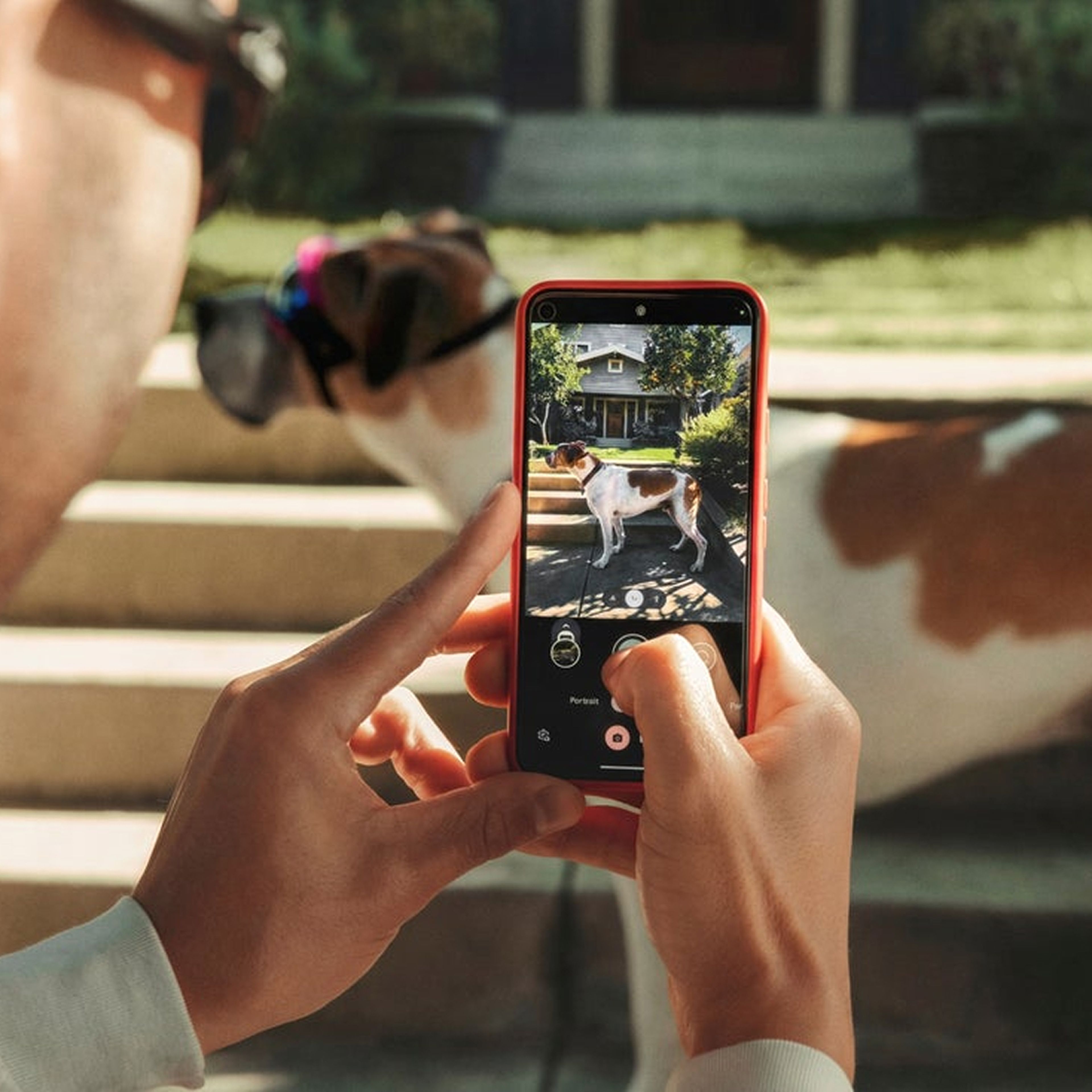 pup parent using the Oliie app to check on their pup's weight health