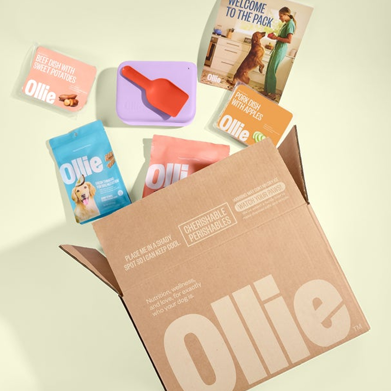 Ollie starter box with fresh food packs, a treat bag, a scoop and a storage container