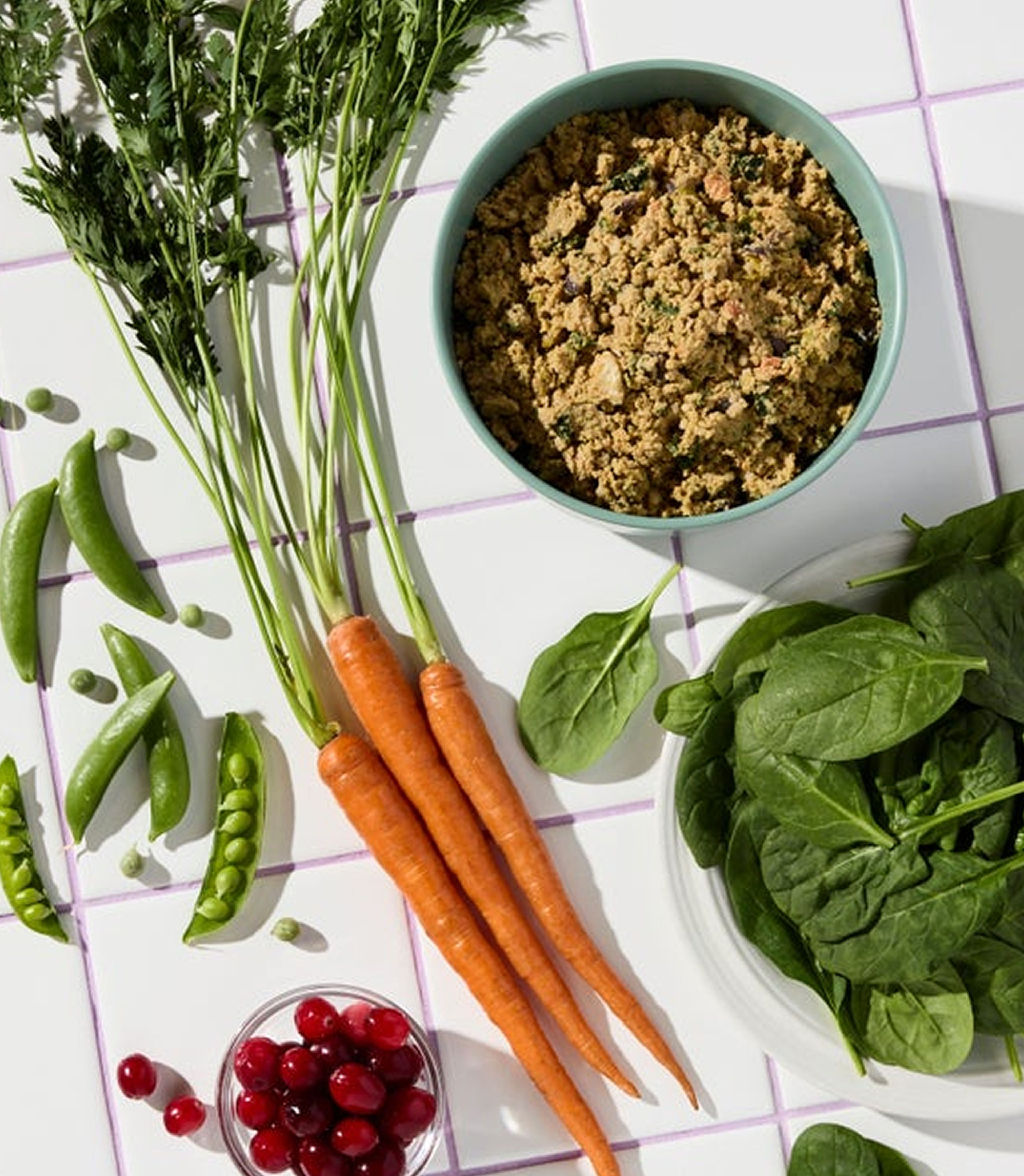Bowl of fresh chicken food surrounded by ingredients