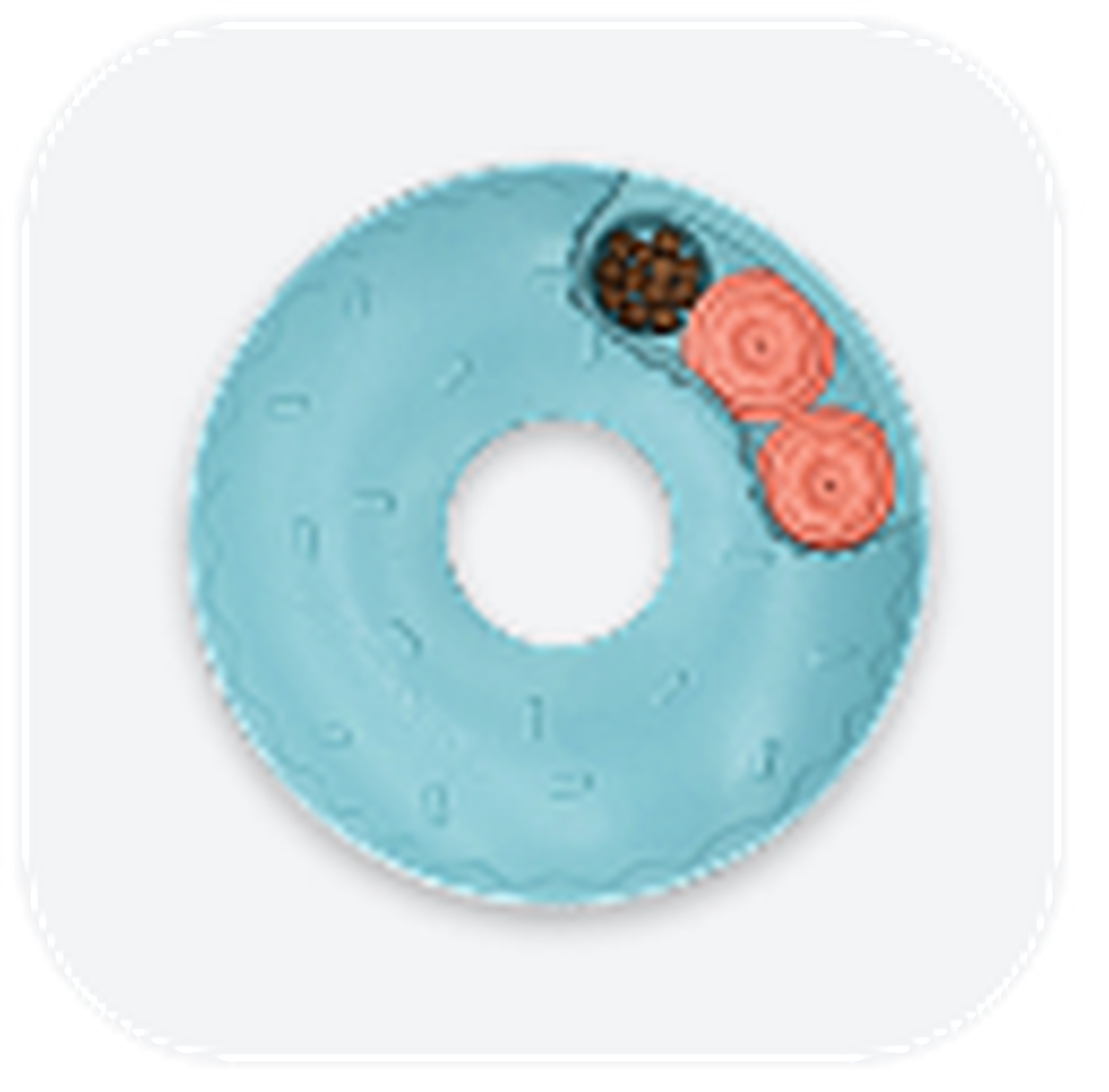 Zippy Paws Puzzler