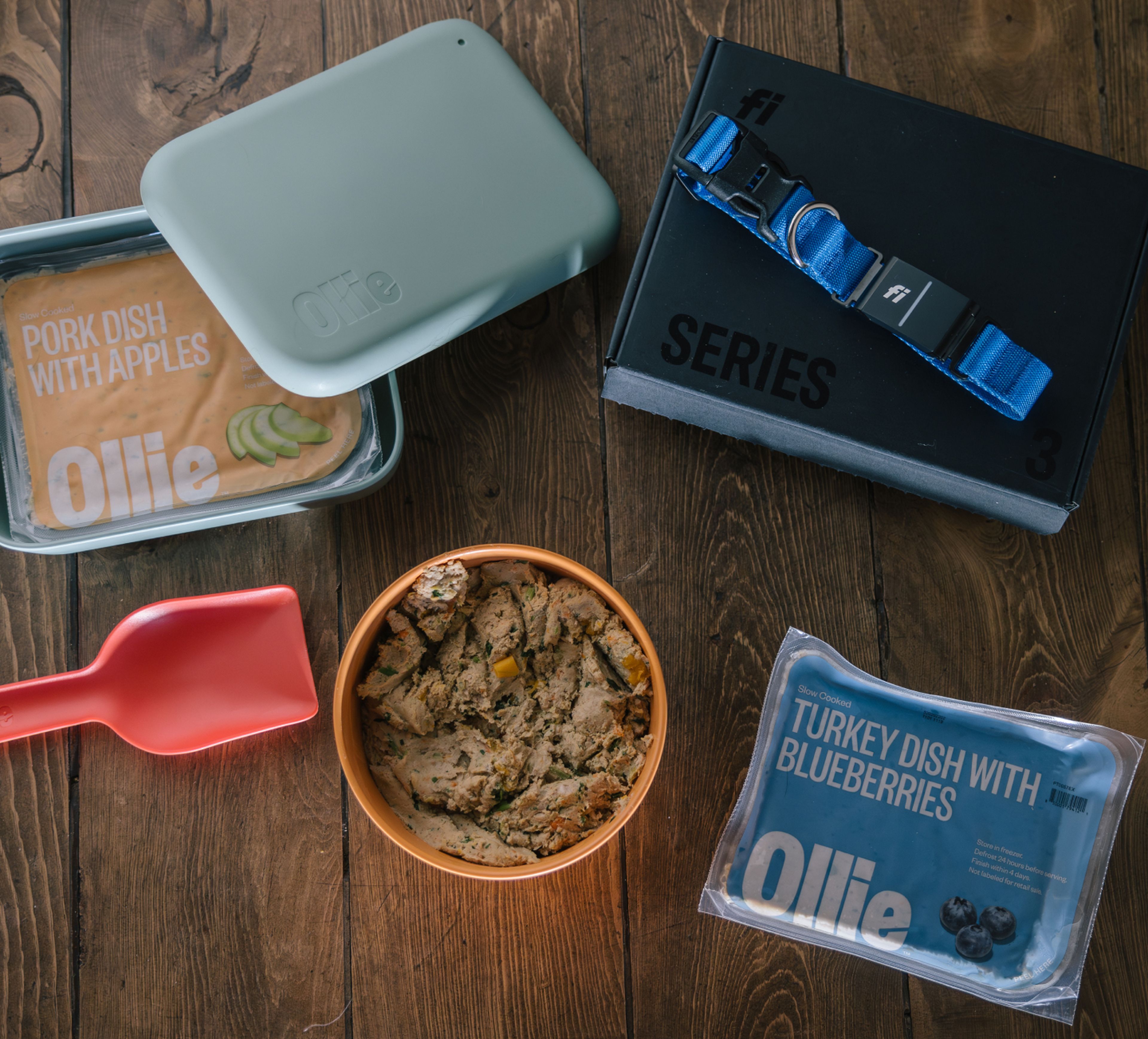 A variety of packaged Ollie fresh dog food, including pork with apples and turkey with blueberries, displayed with a red scoop and a blue Fi collar on a wooden surface.