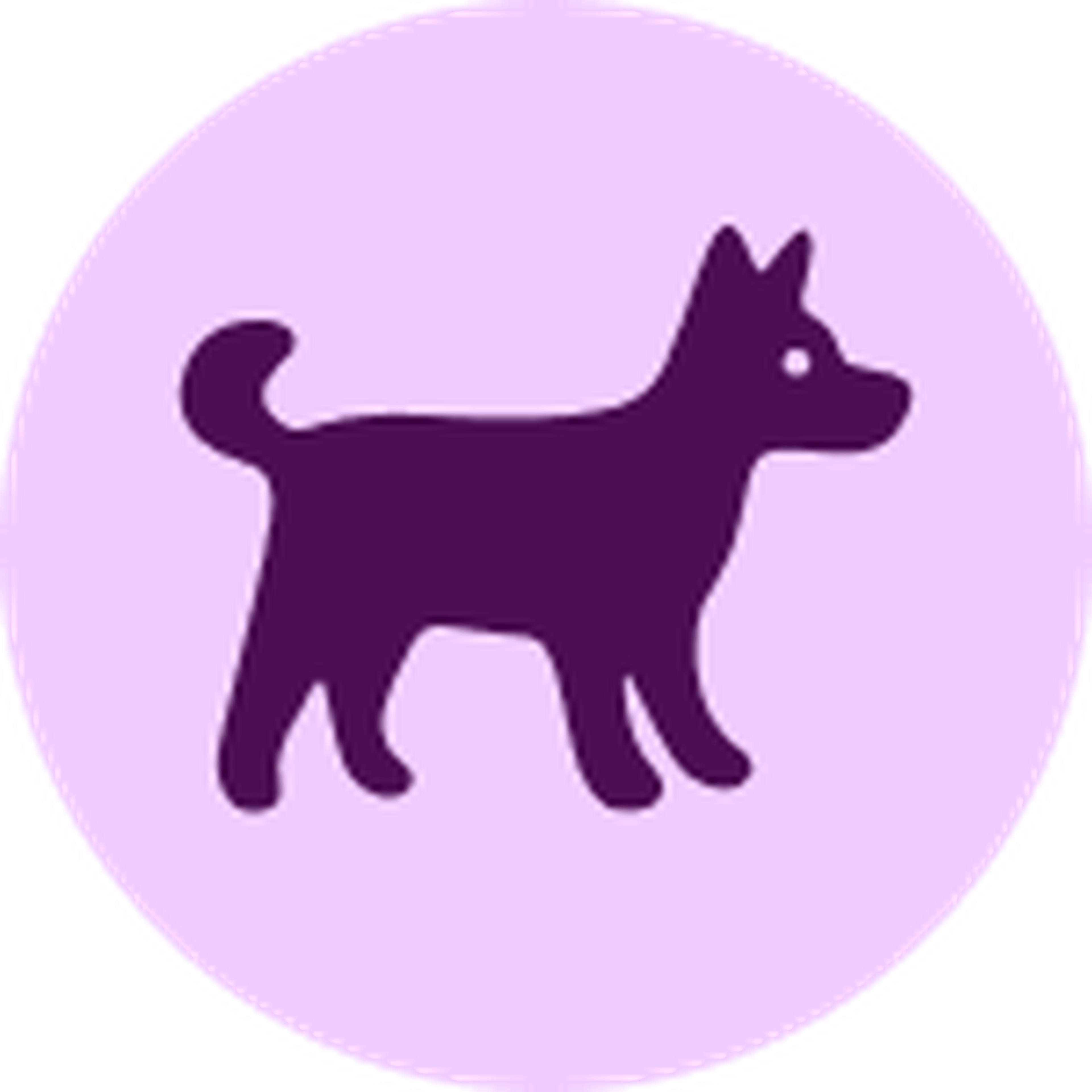 dog icon