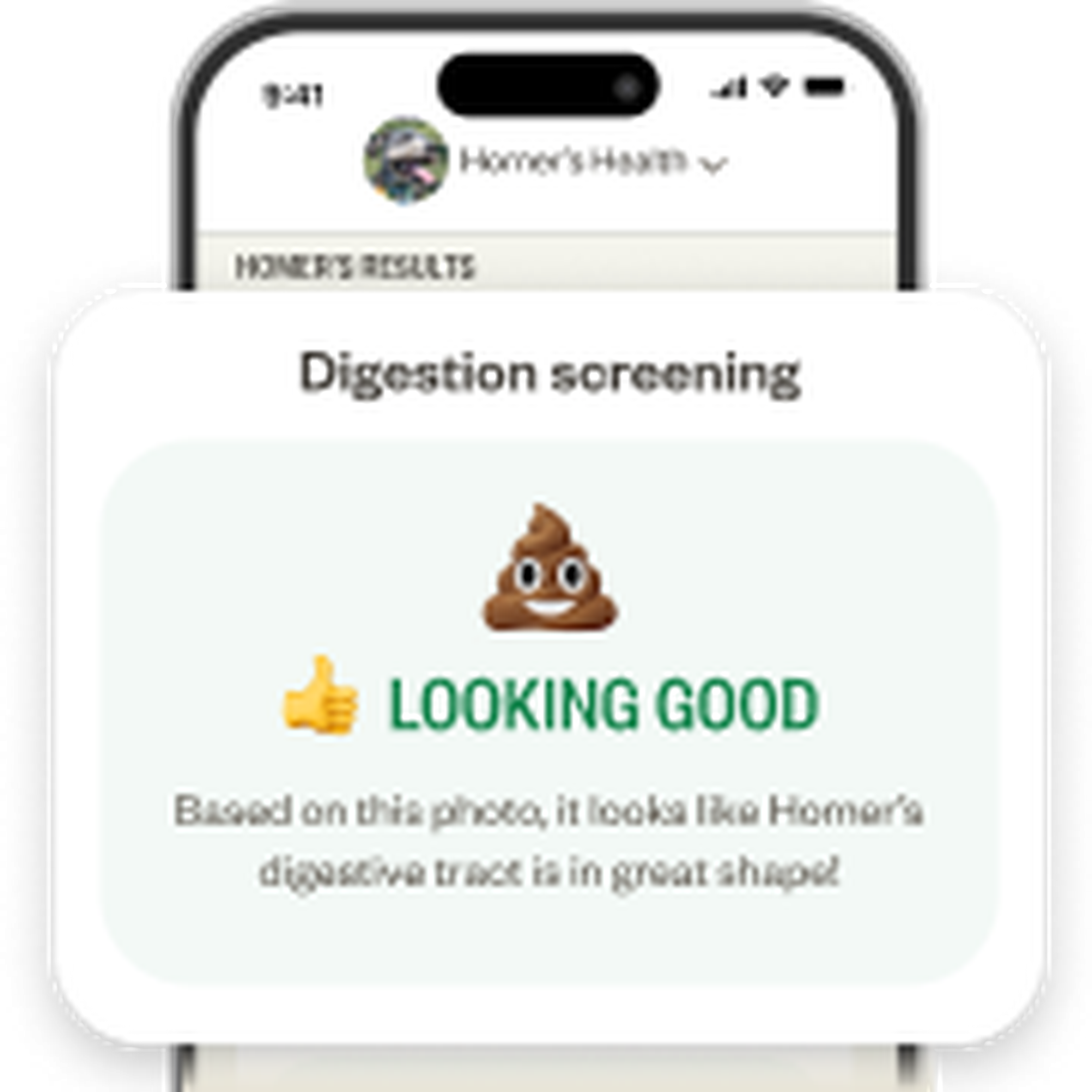 Smartphone screen showing an Ollie digestion screening result with a thumbs-up and poop emoji, stating "Looking Good" for digestive health.