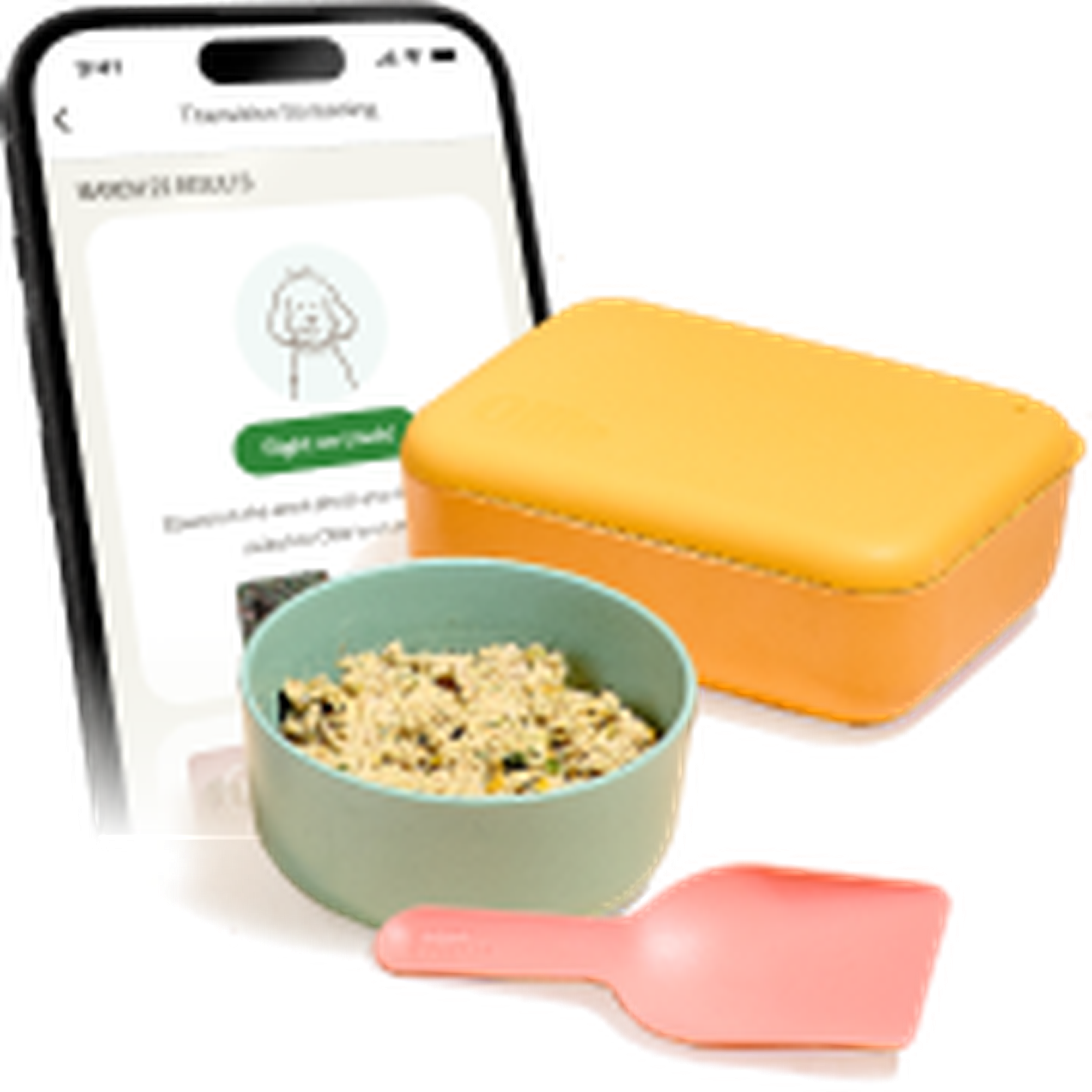 A smartphone displaying an Ollie health screening on the Ollie app, a bowl of Ollie fresh dog food, a pink scoop, and an orange food container (puptainer).
