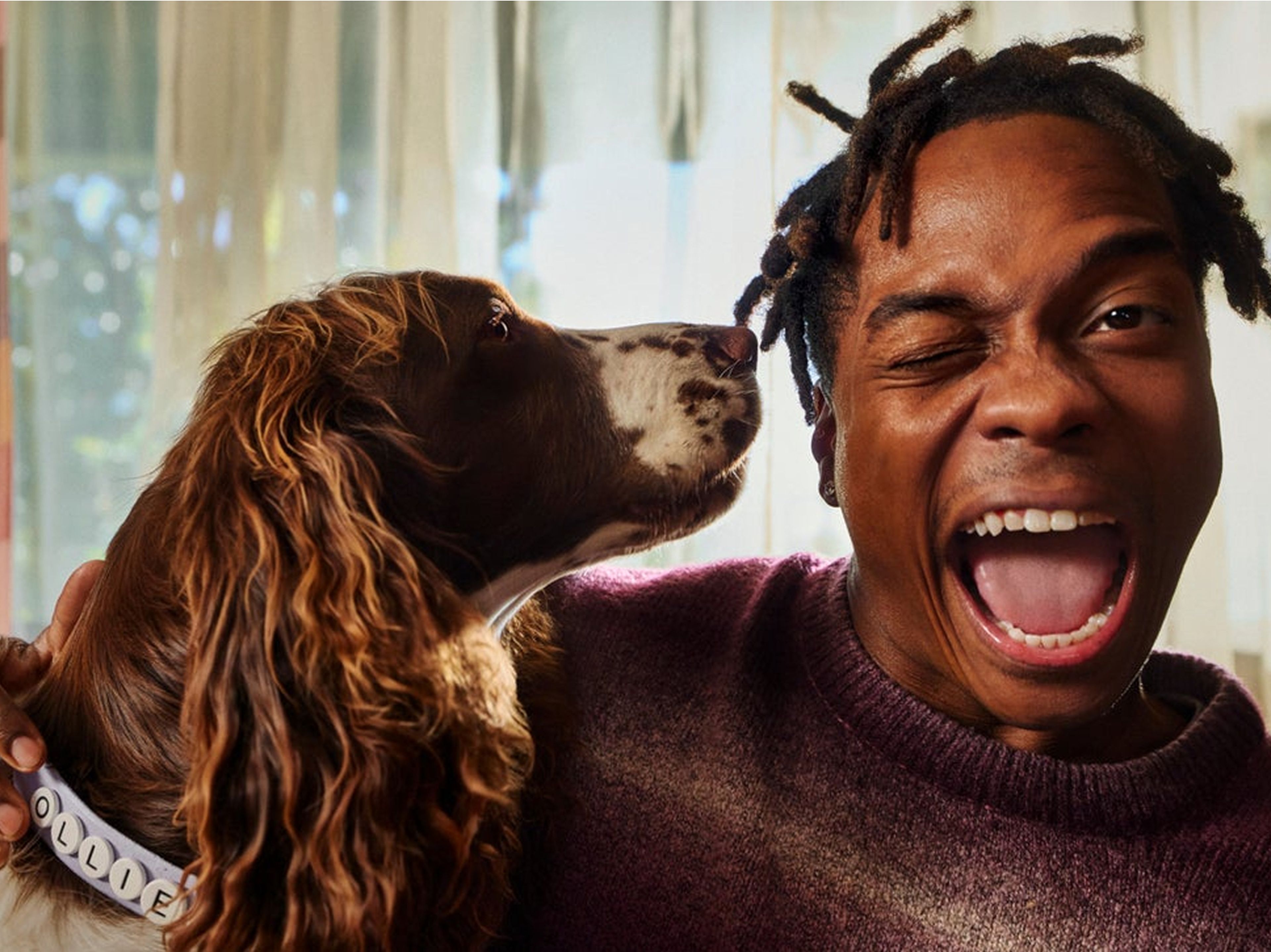 a dog and it's pup parent playing