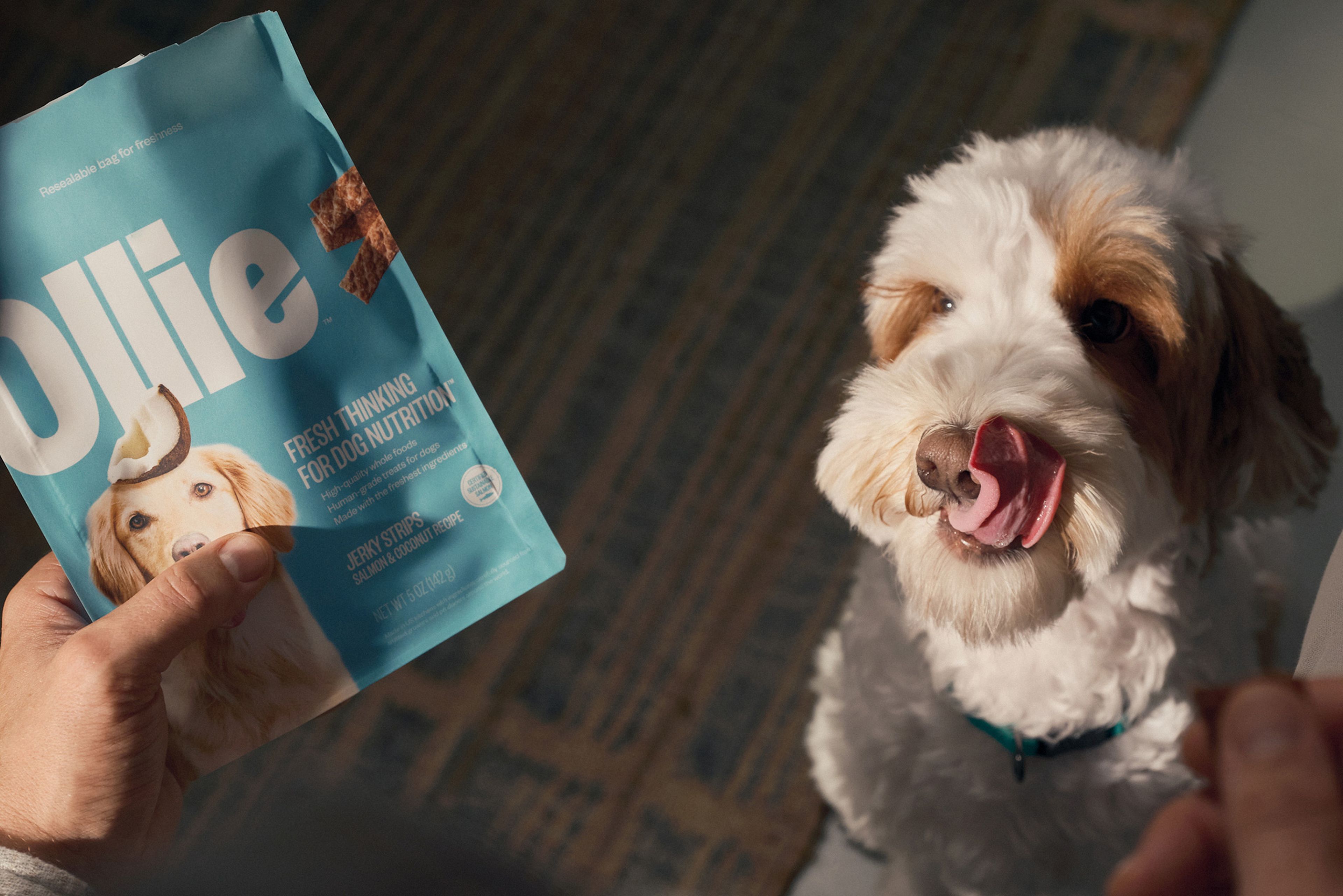 Image of a dog licking its lips looking at a bag of Ollie Salmon Jerky treats