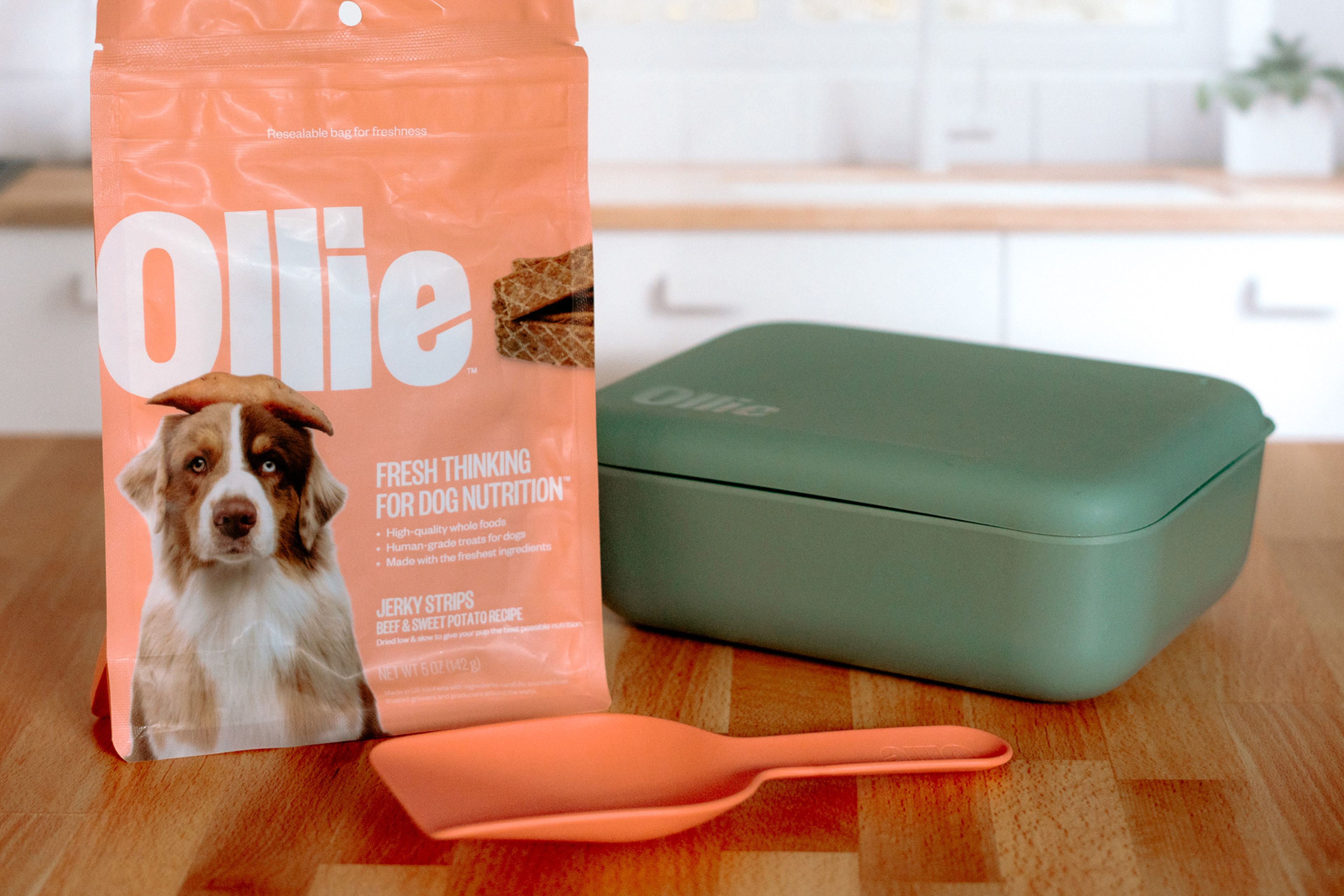 Image of our puptainer and scoop sitting on a table next to a bag of Ollie treats