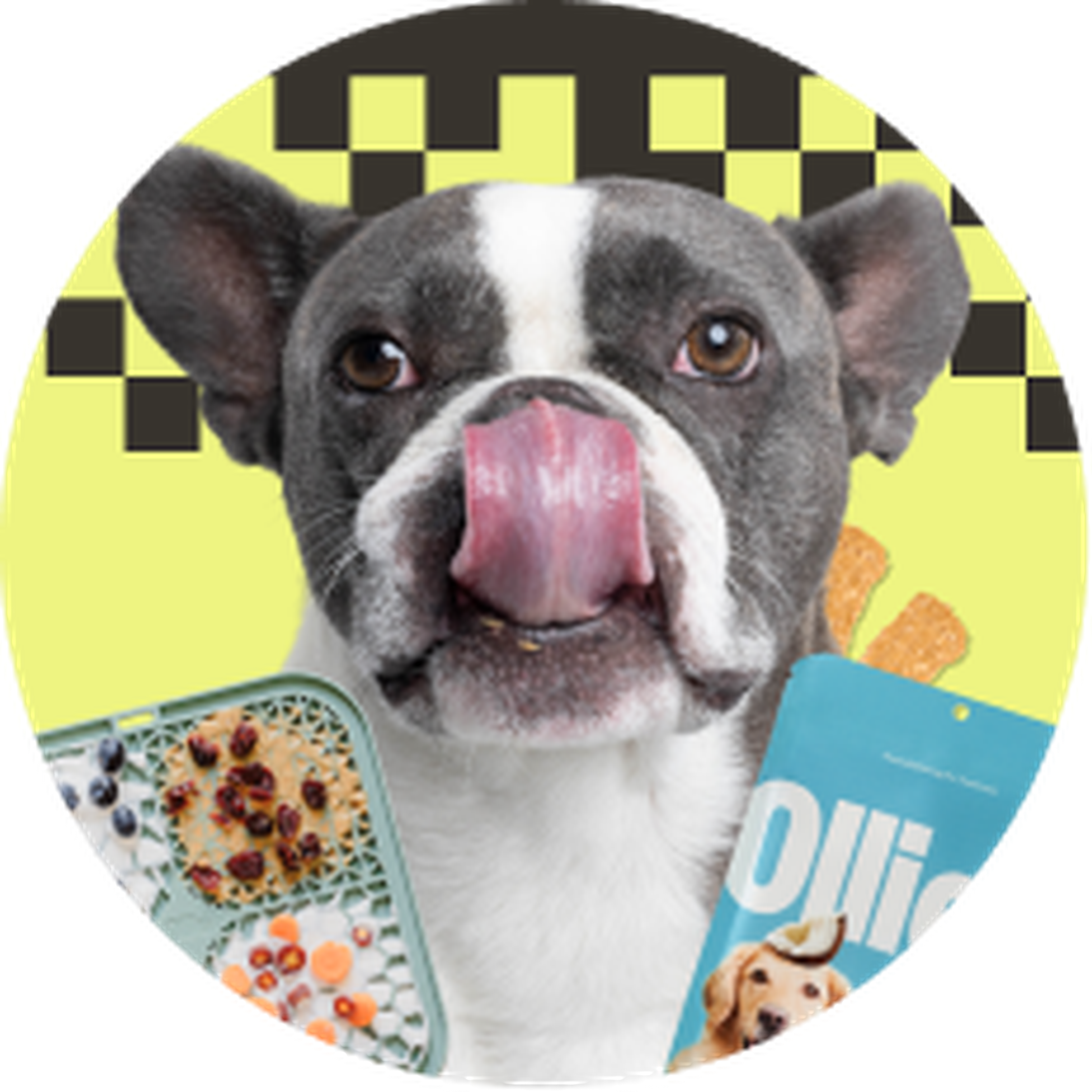 Image of a boxer breed dog flanked by our salmon treats and lick mat with a badge offering free treats for life