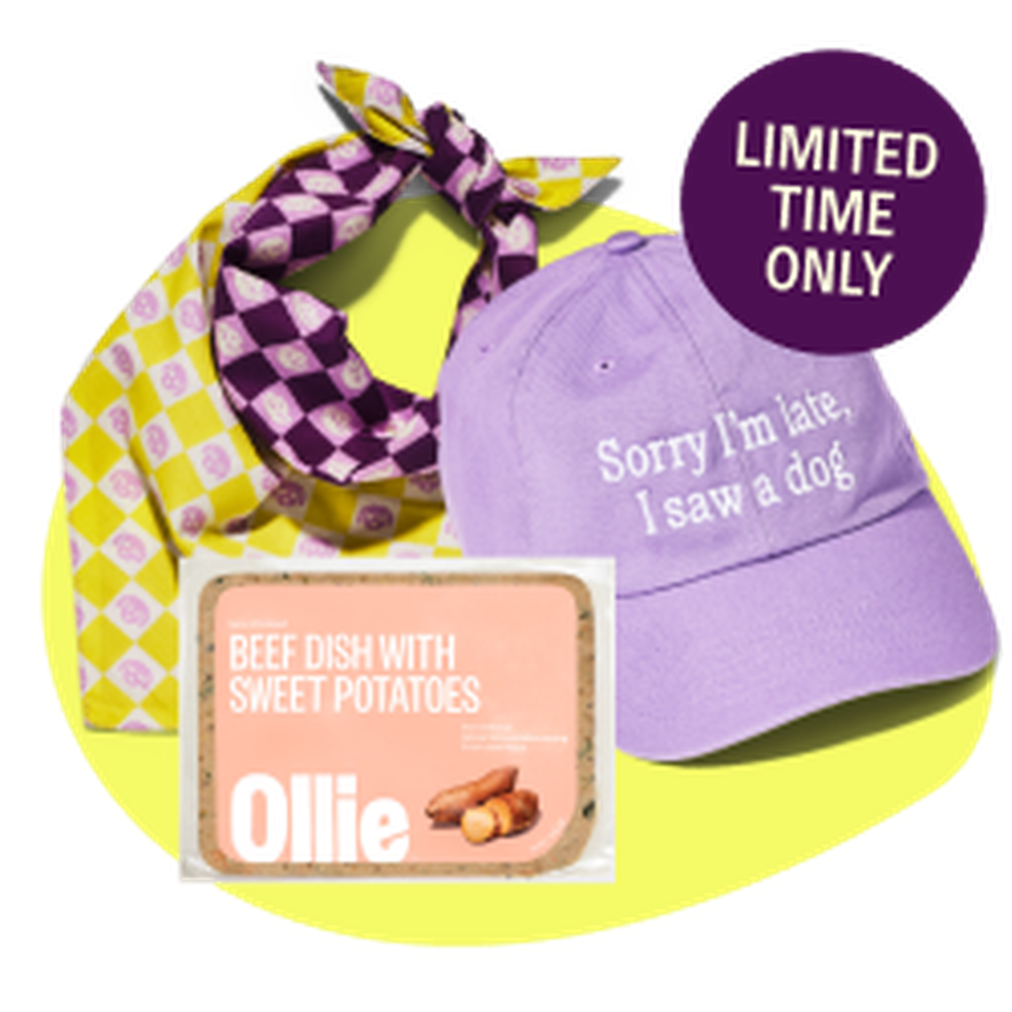 Purple cap with "Sorry I'm late, I saw a dog," yellow-purple scarf, and Ollie beef dish package, labeled "Limited Time Only."