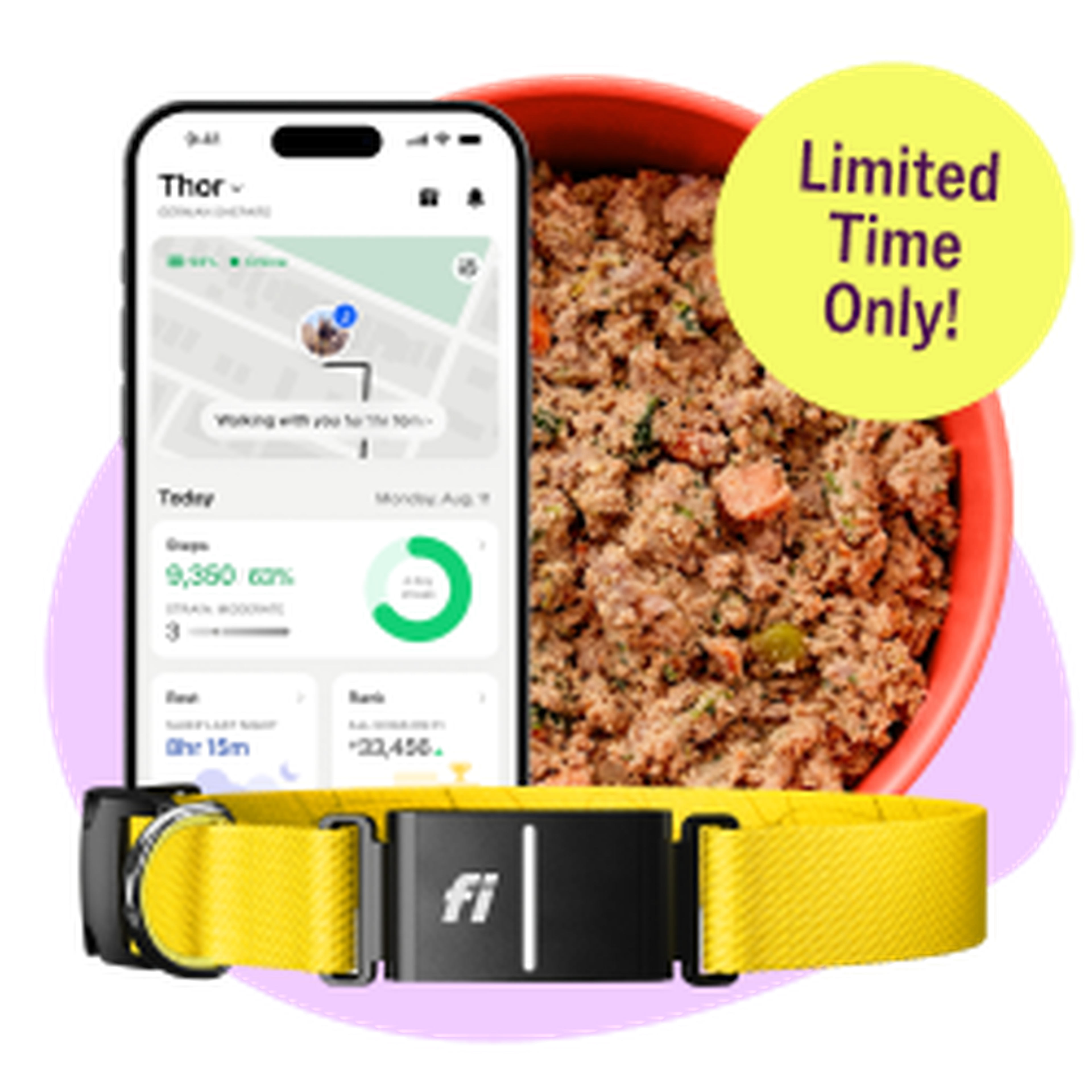 A smartphone displaying a pet activity app, a yellow dog collar, and a bowl of dog food. Text: "Limited Time Only!"