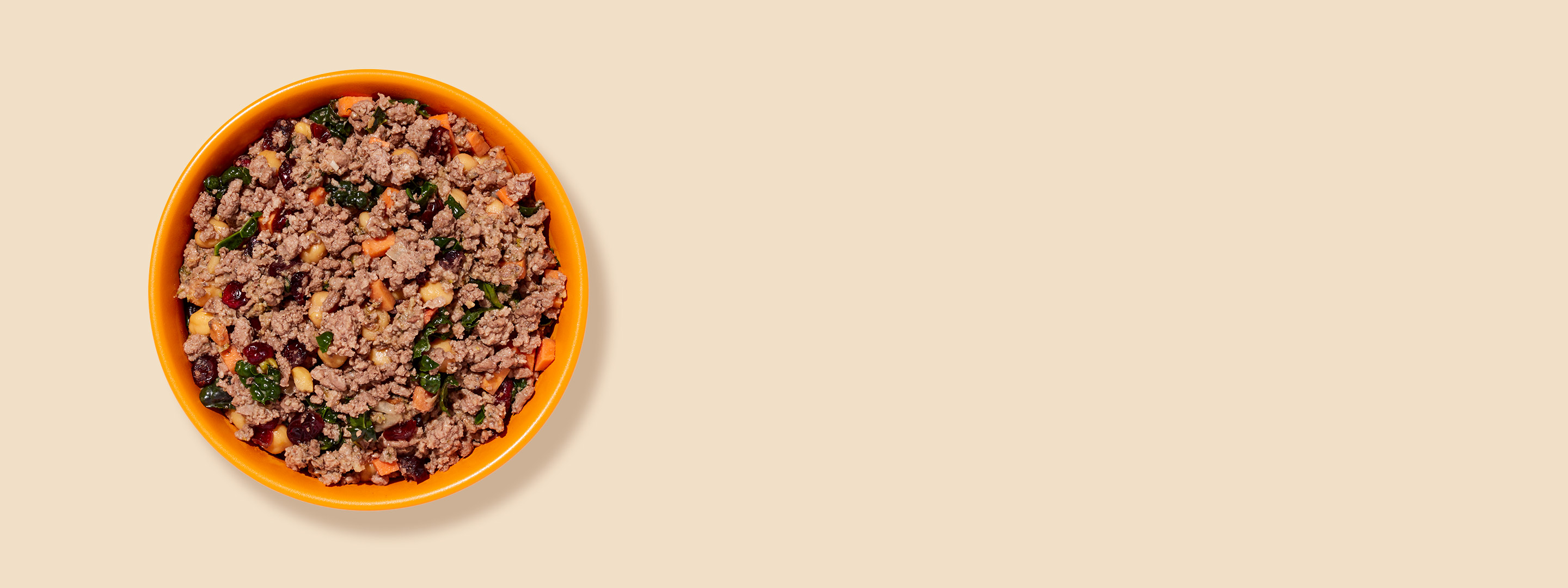 A bowl of Ollie's fresh dog food lamb recipe.