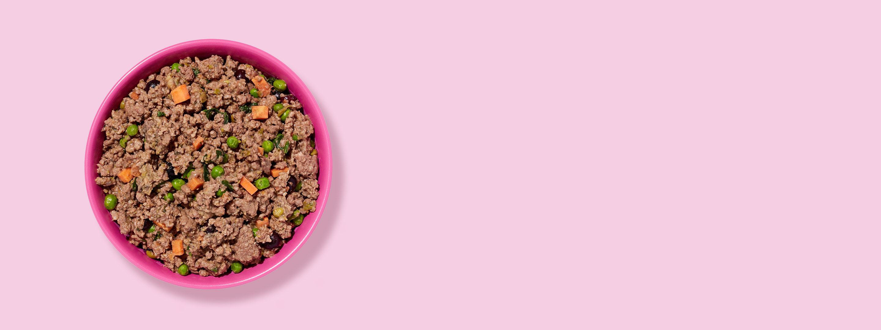 A bowl of Ollie's fresh dog food beef recipe.