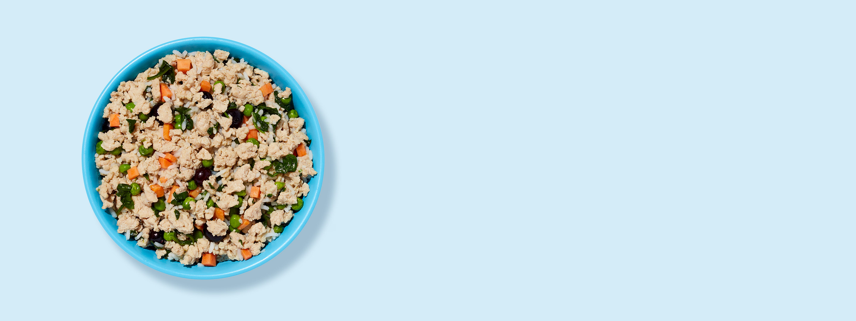 A bowl of Ollie's fresh dog food chicken recipe.