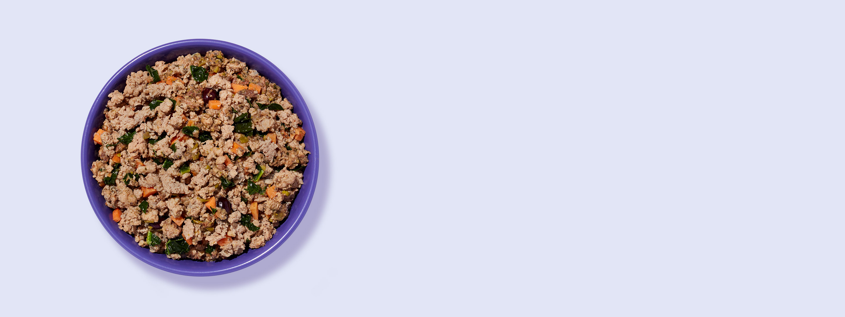 A bowl of Ollie's fresh dog food turkey recipe.