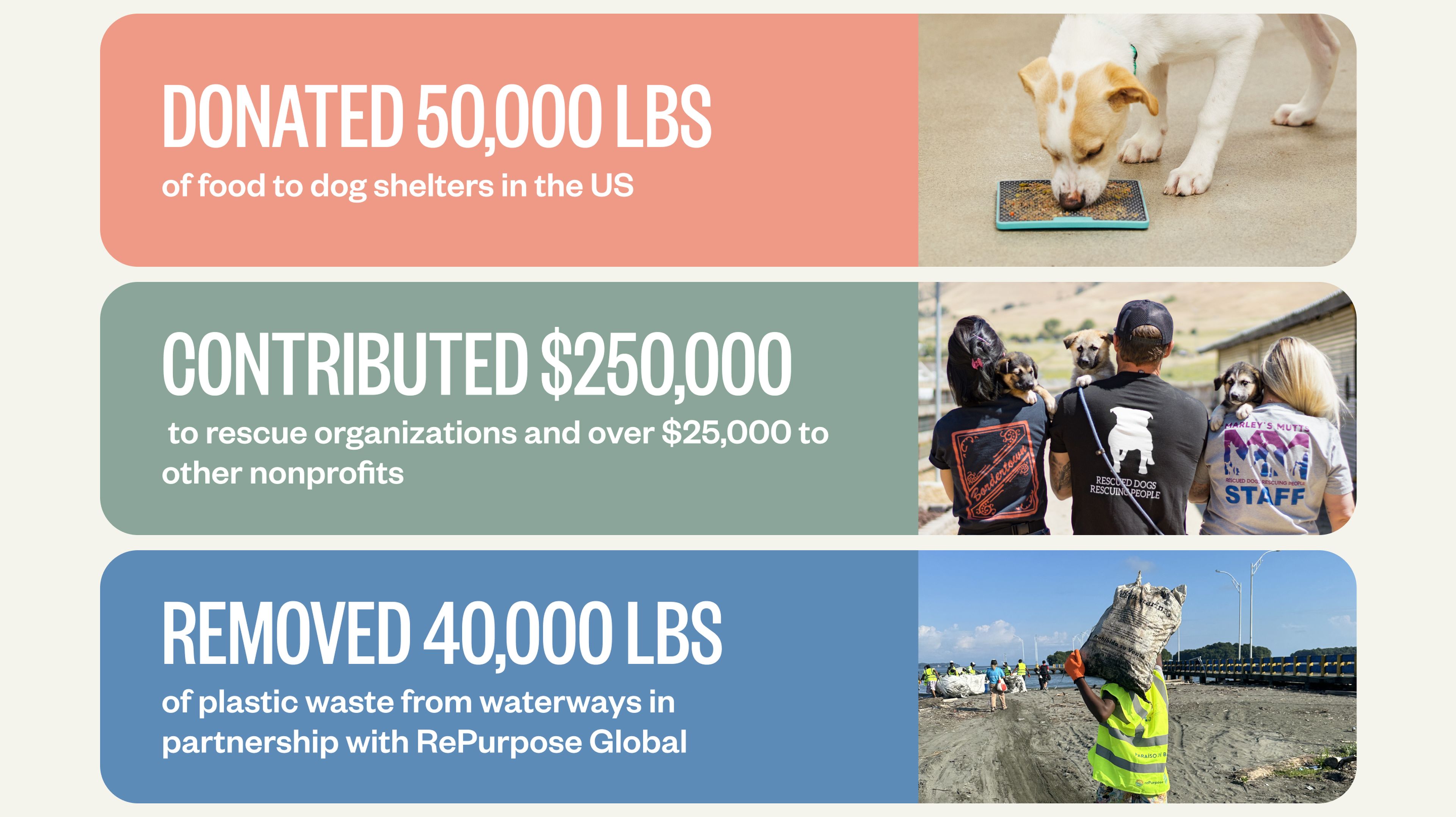 Infographic with three sections: dog eating, donation text; people with dogs, contribution text; volunteers cleaning beach, plastic removal text.