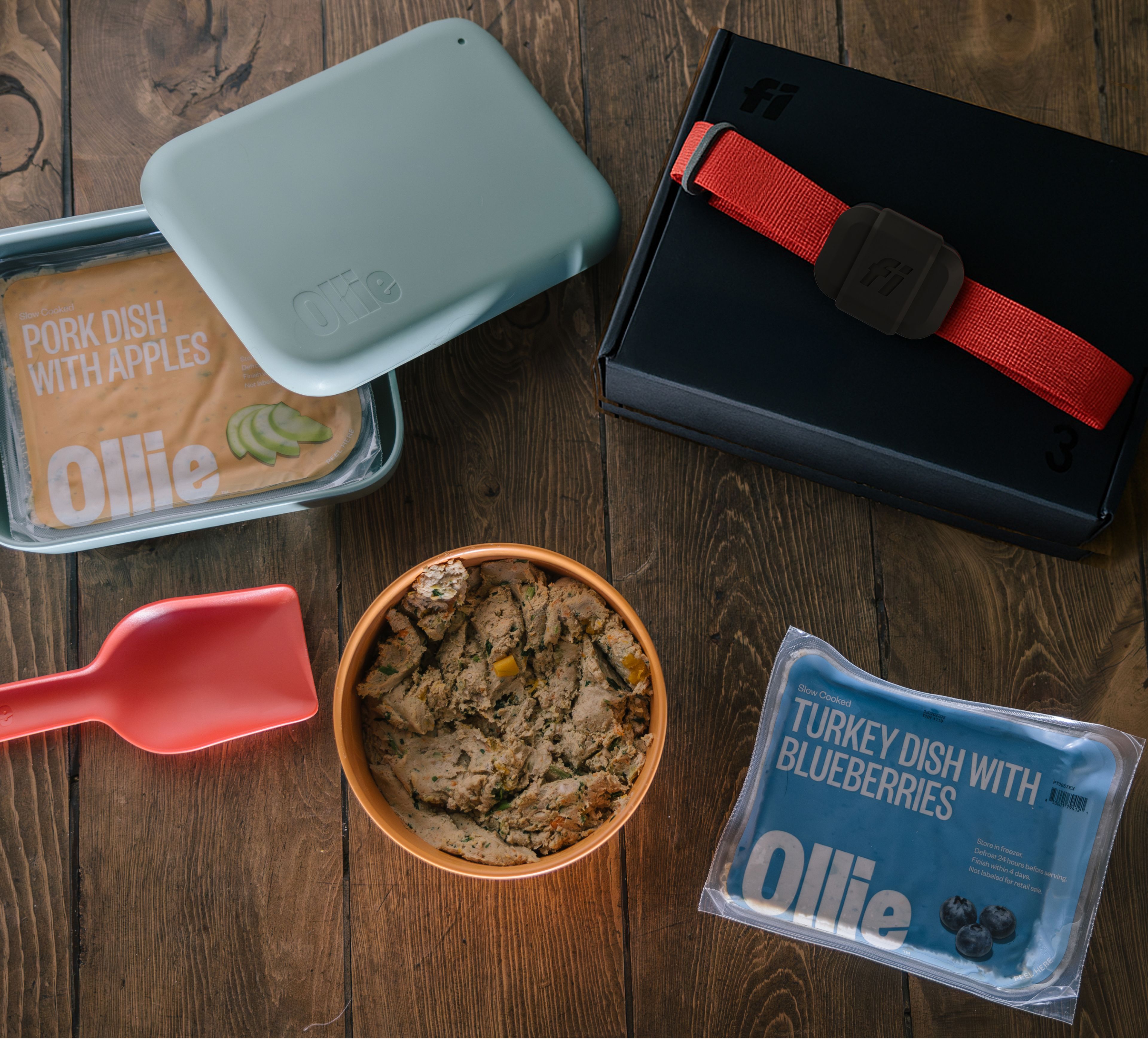 Ollie fresh dog food recipes pork dish with apples and turkey dish with blueberries in packaging with fresh dog food in orange bowl beside a red scoop. Fi mini on red collar sits atop black Fi box
