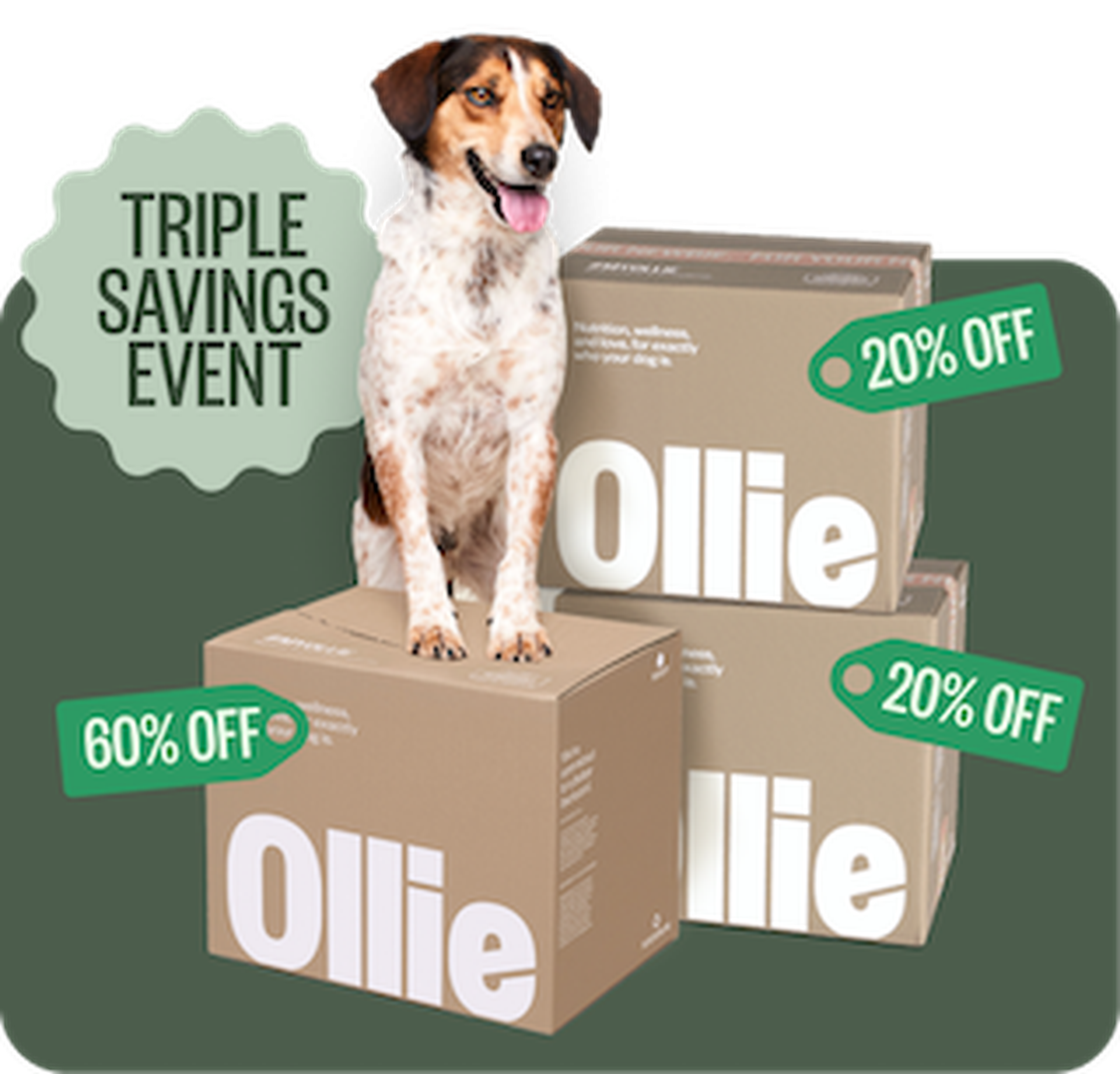 A dog sits on Ollie boxes with sale tags: "60% OFF" and "20% OFF." Text reads "TRIPLE SAVINGS EVENT."