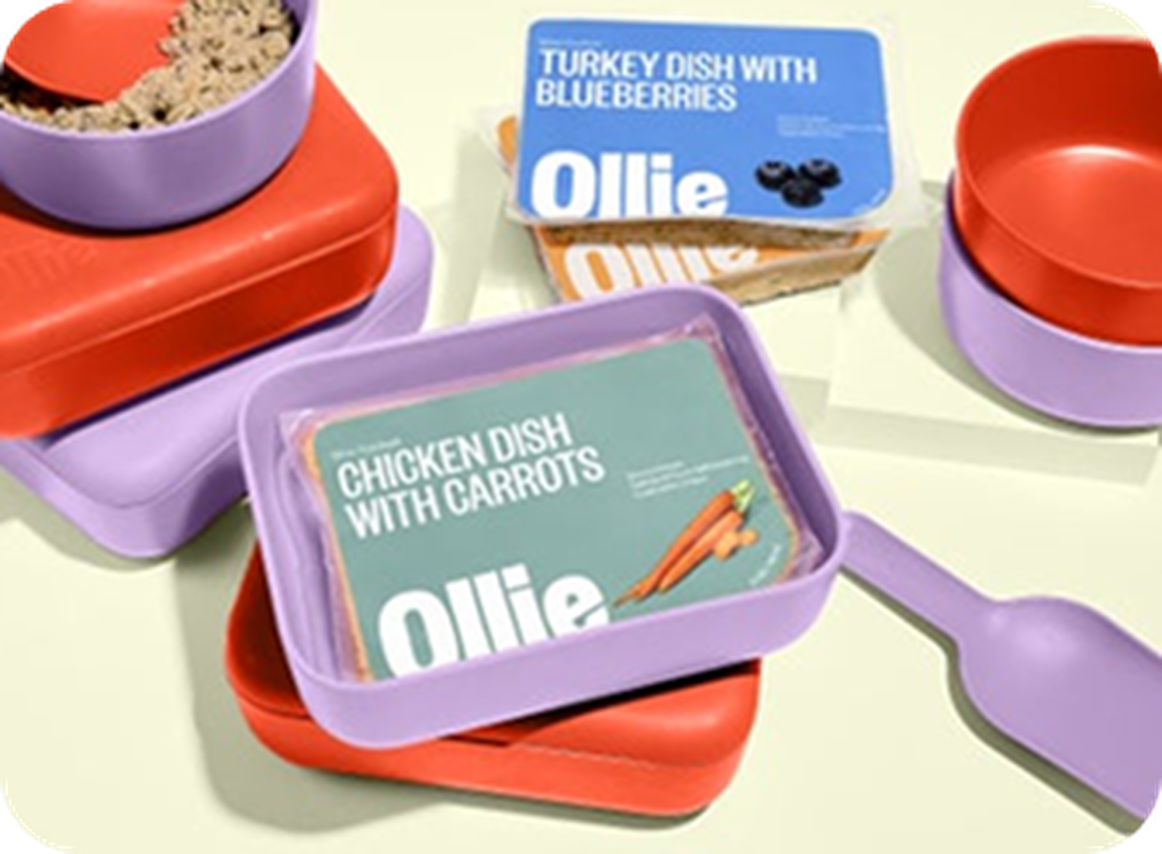 Pet food packaging with labels "Chicken Dish with Carrots" and "Turkey Dish with Blueberries" alongside bowls and containers on a light surface.