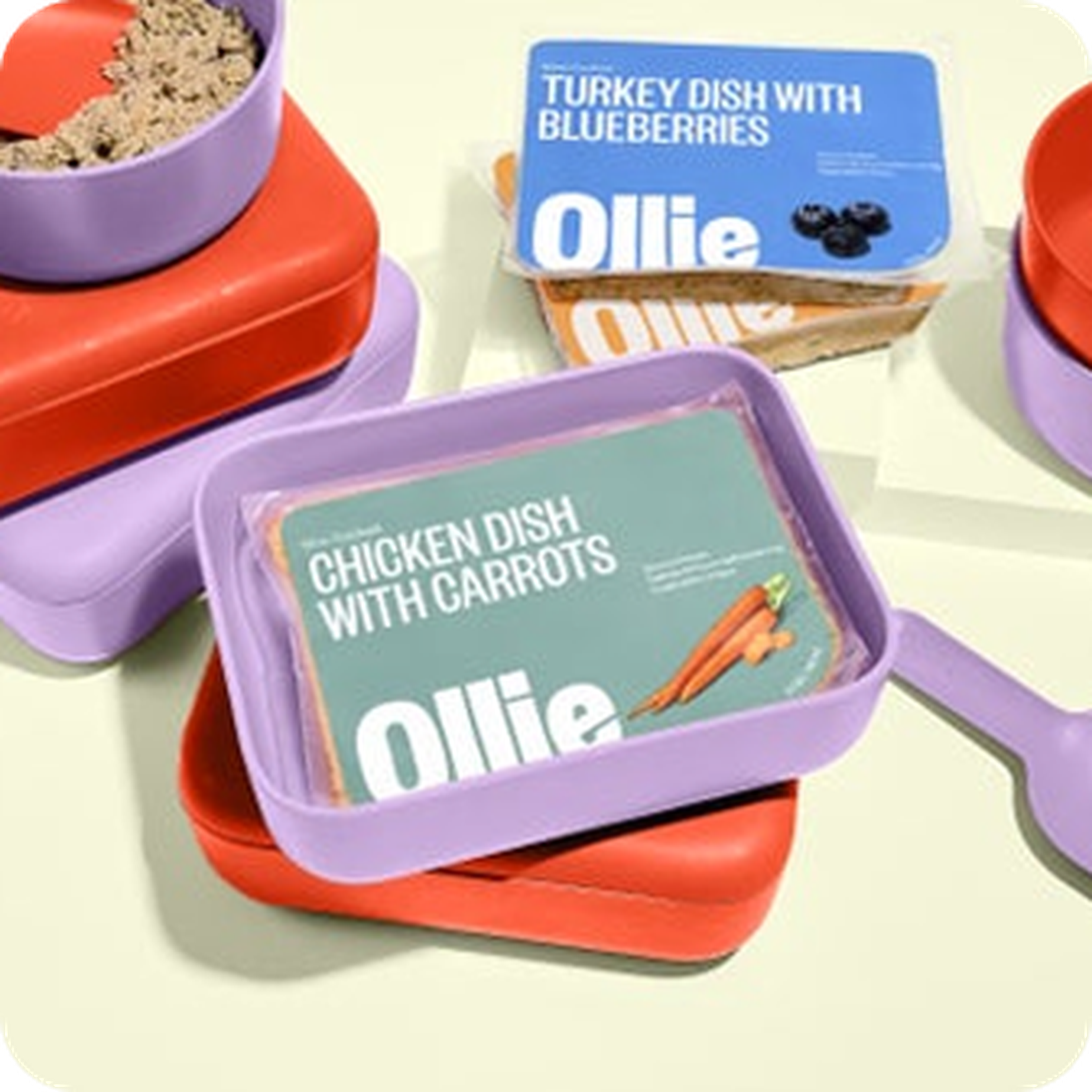 Colorful containers of dog food with labels "Chicken Dish with Carrots" and "Turkey Dish with Blueberries" on a light background.