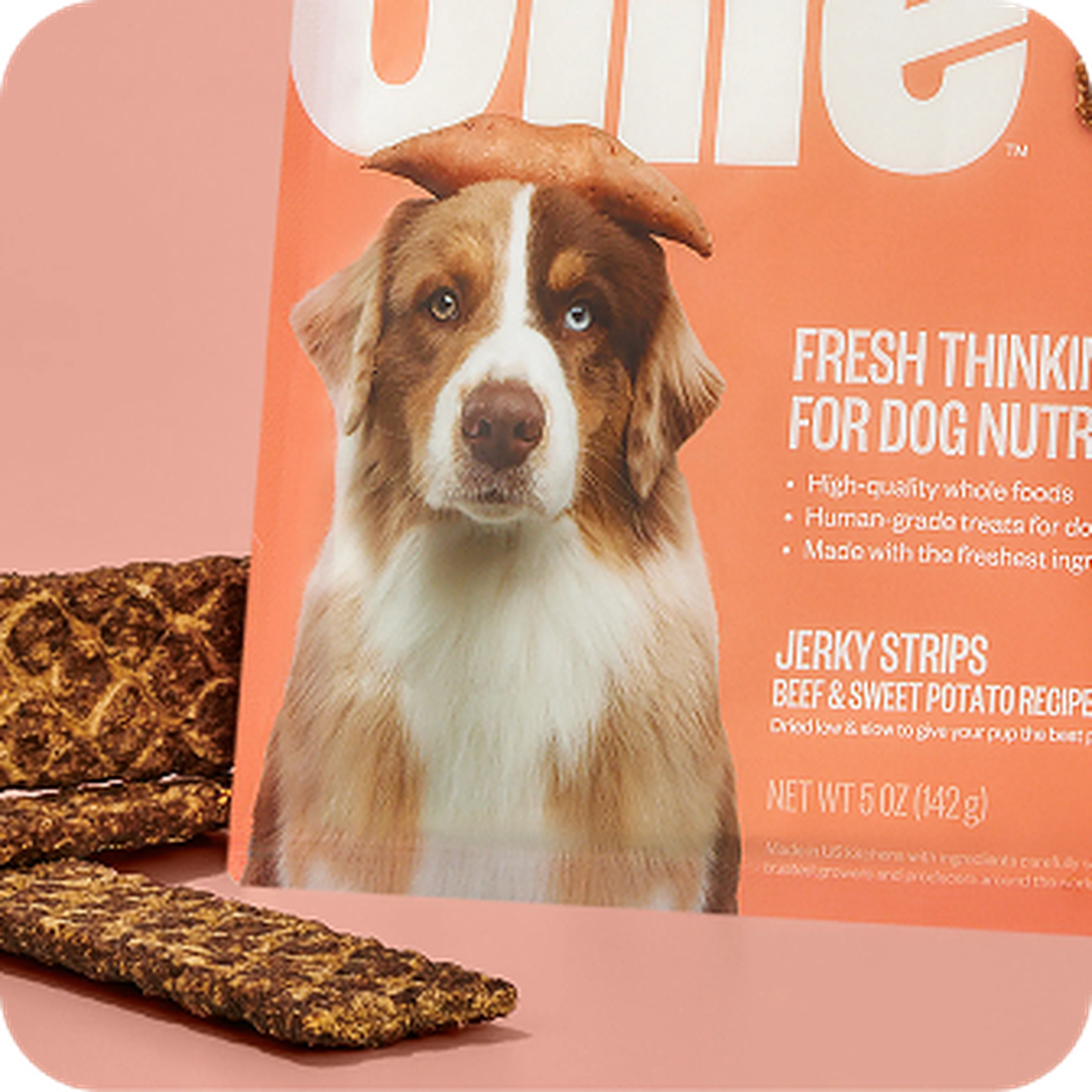 Dog food package with a brown and white dog wearing a treat on its head. Jerky strips are scattered nearby.