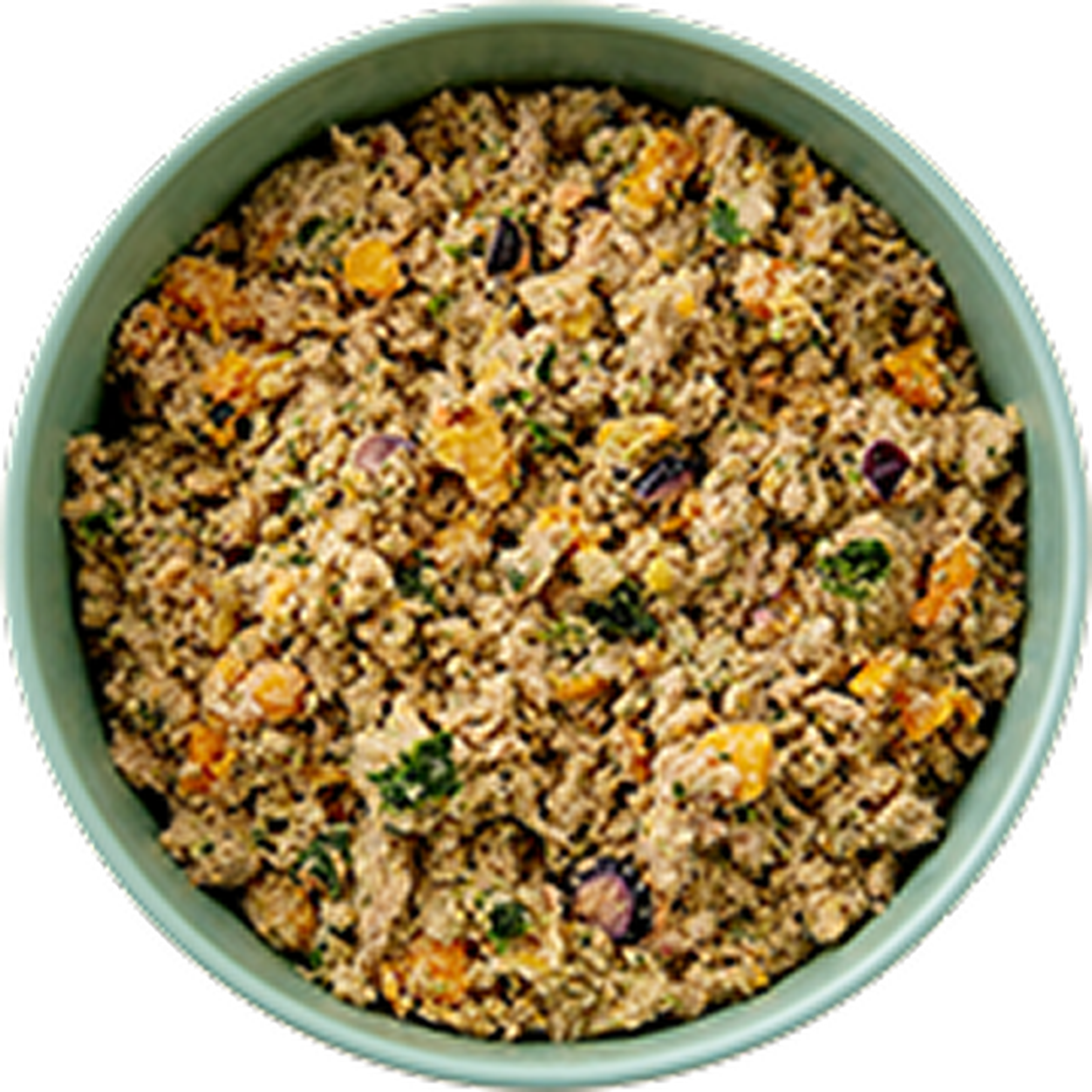 A bowl Ollie fresh turkey dog food, featuring visible vegetables.