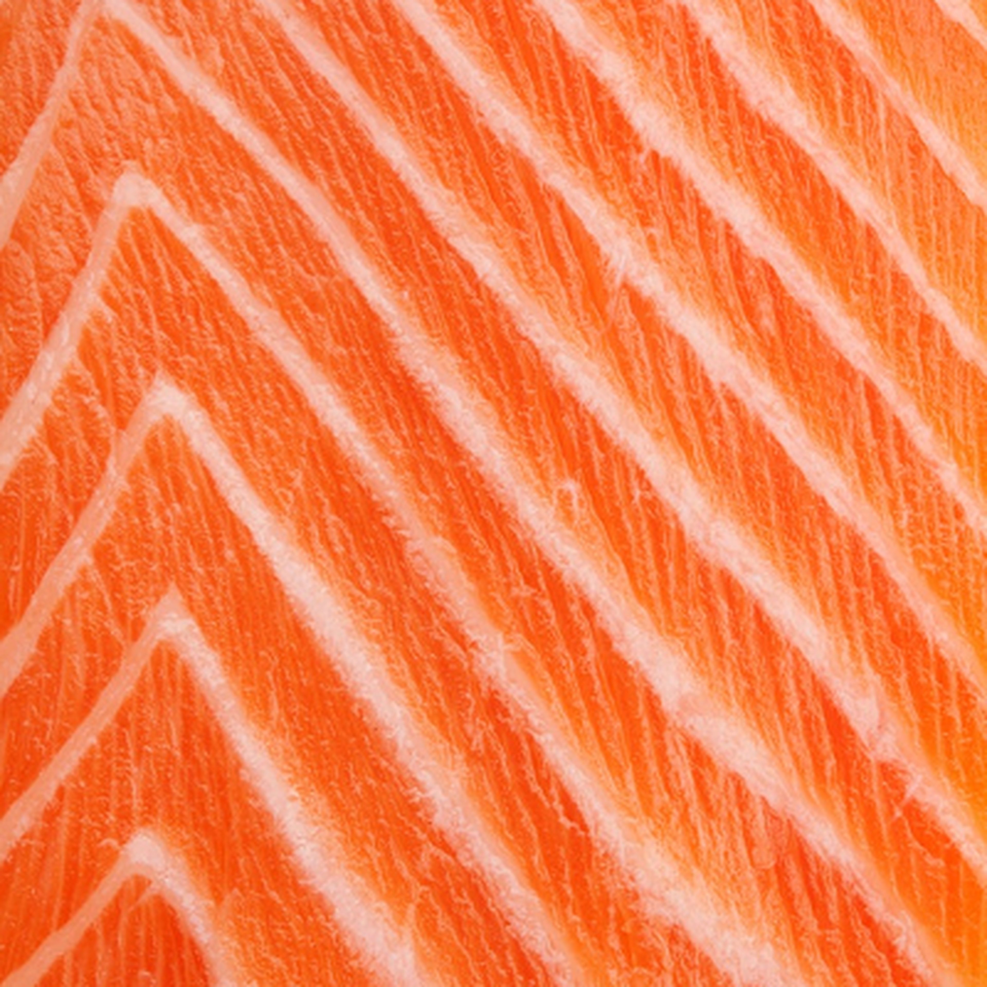 close up image of salmon meat