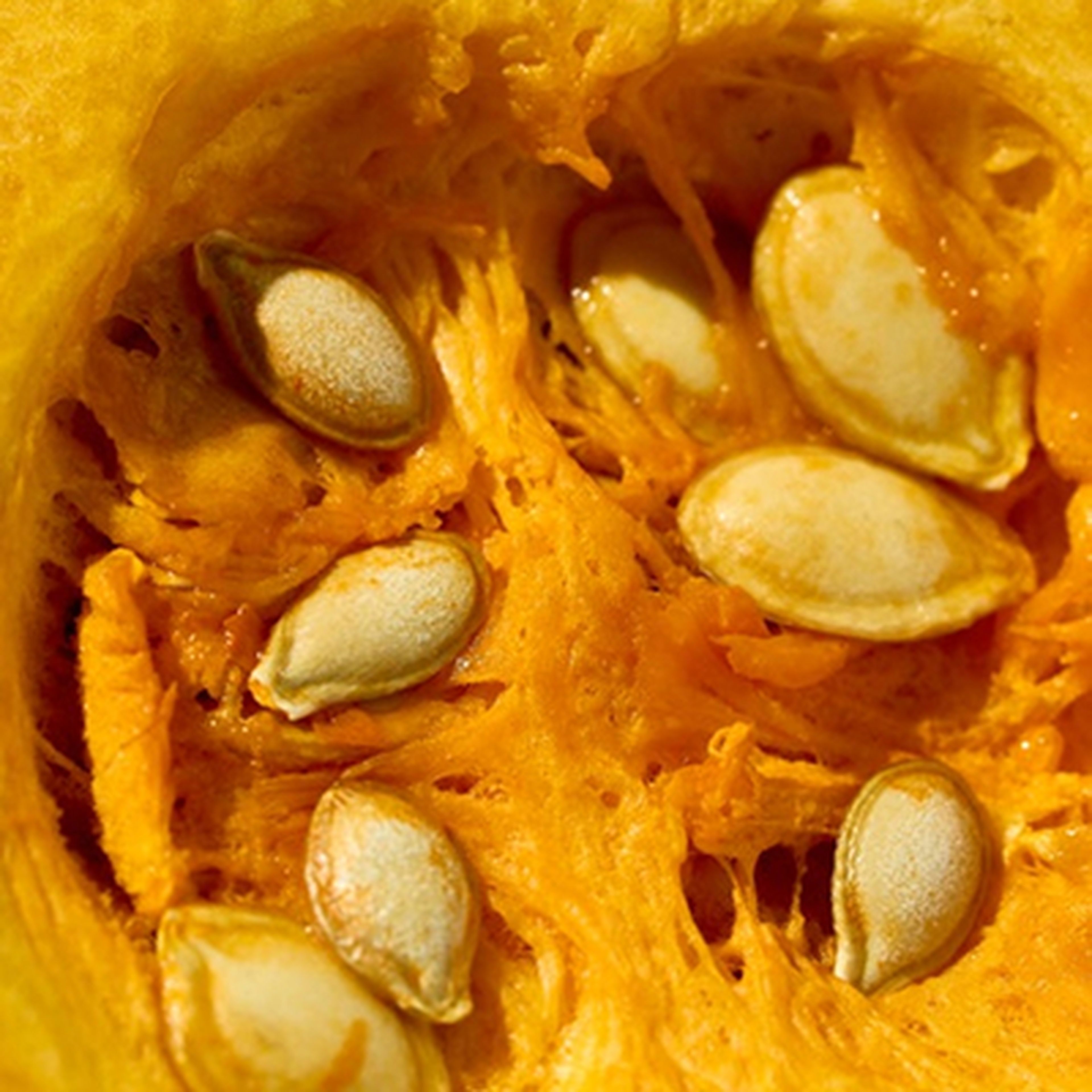 close up image of squash