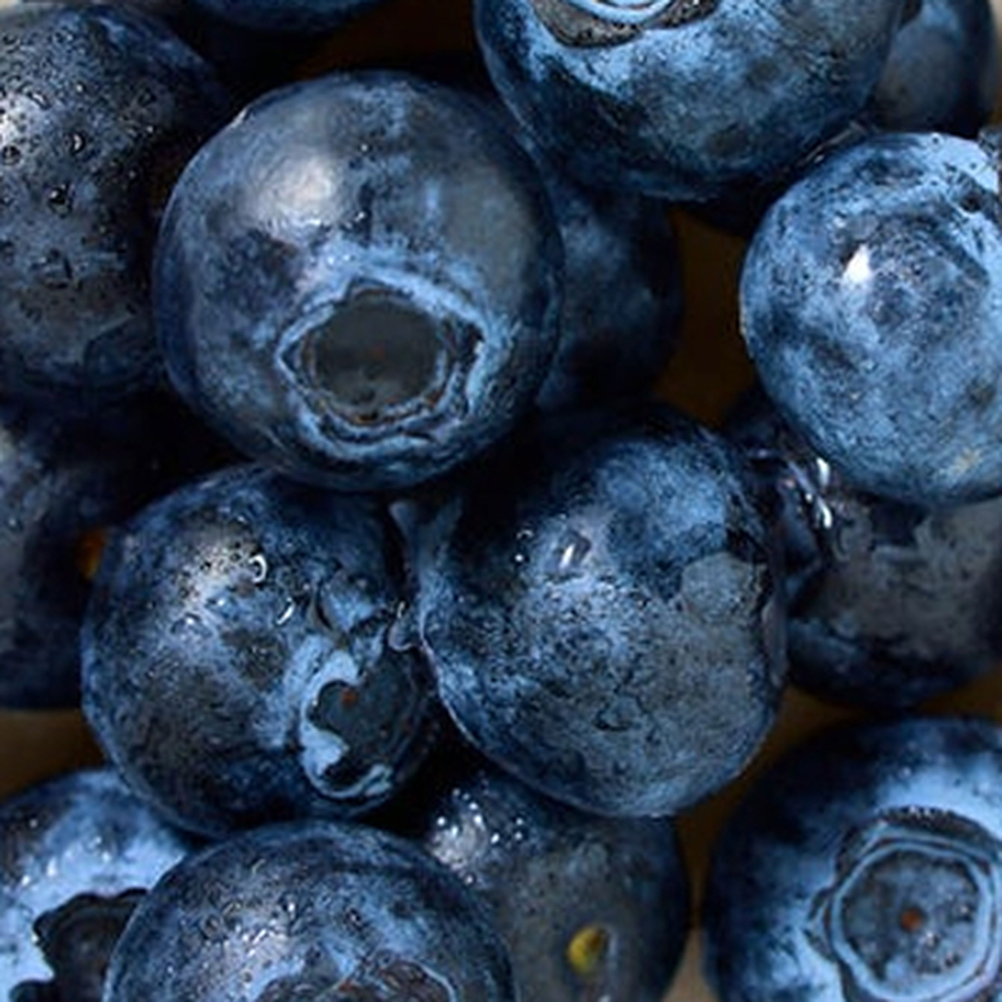 close up image of blueberries