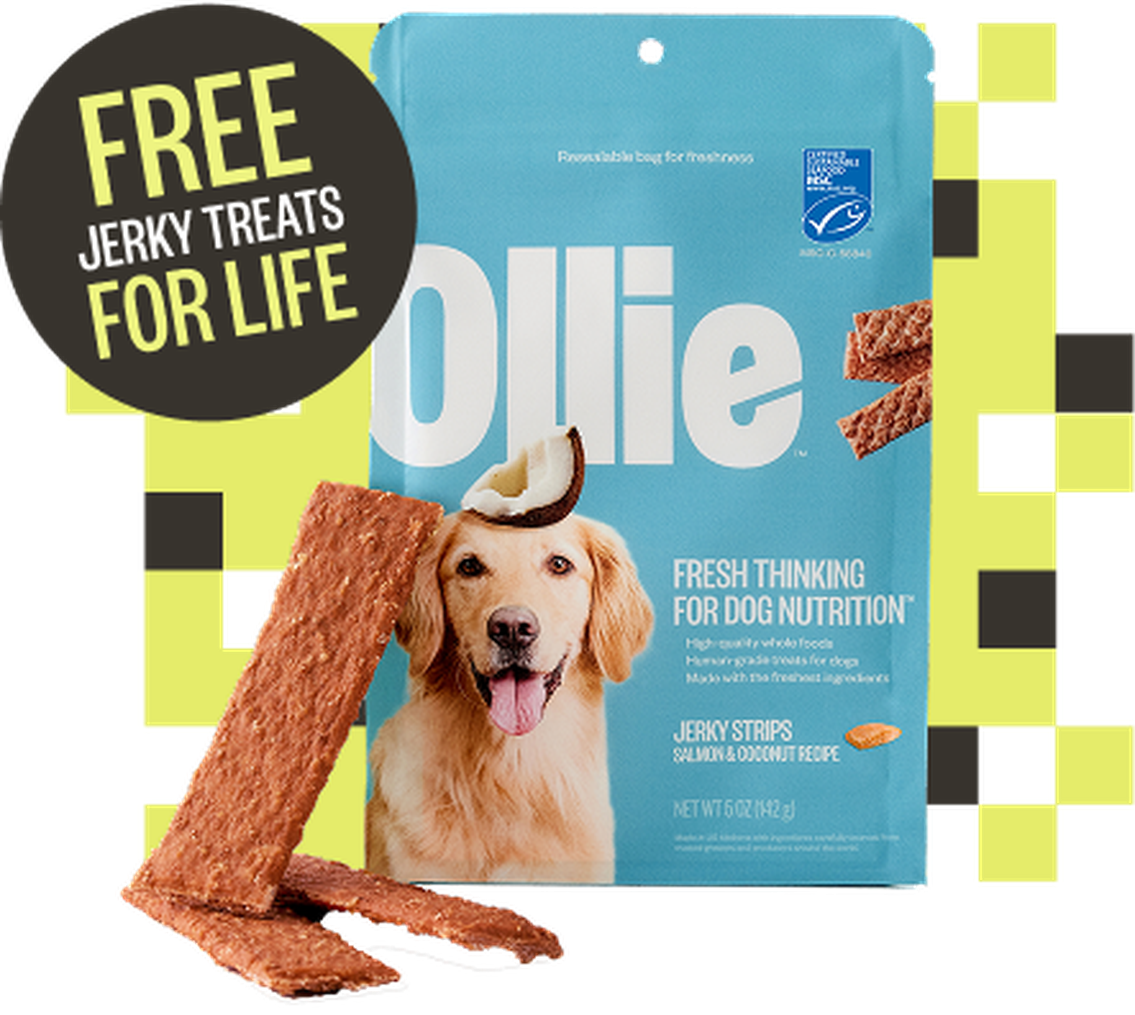 Image of a bag of our Ollie salmon jerky treats