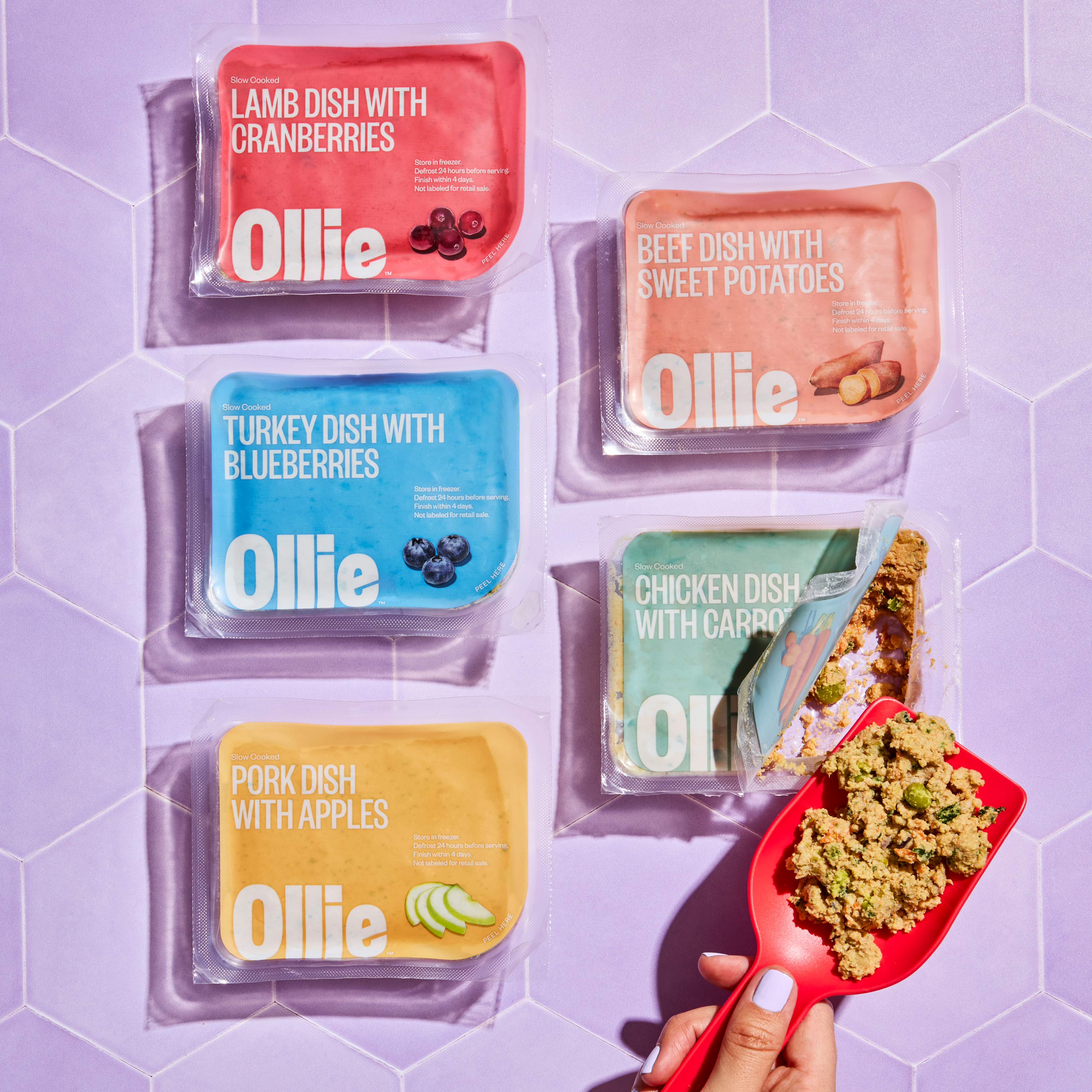 ollie sampler packs with hand holding scoop of fresh chicken recipe