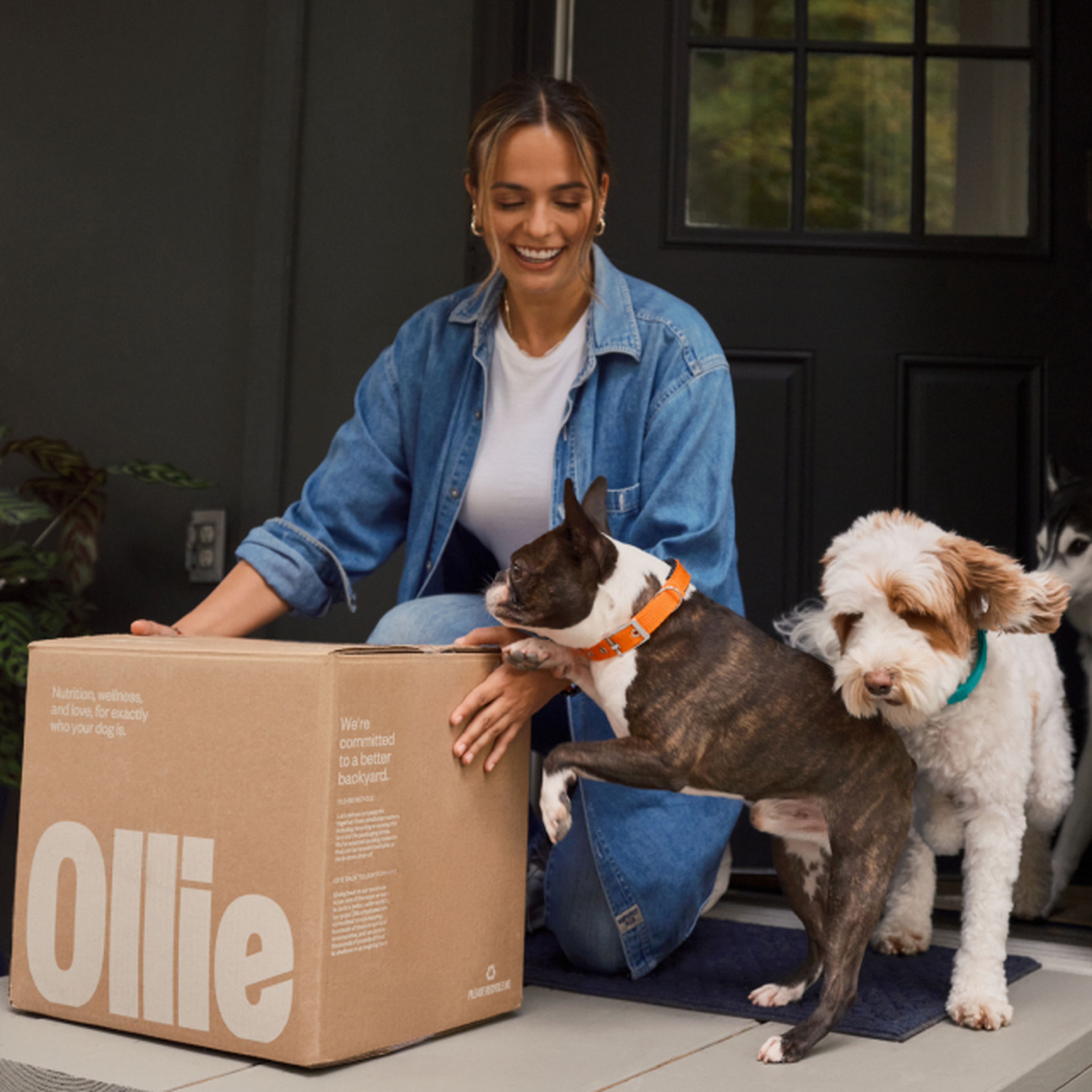 A woman kneels by her front door opening a large Ollie delivery box while two excited dogs stand beside her, one with its paws on the box