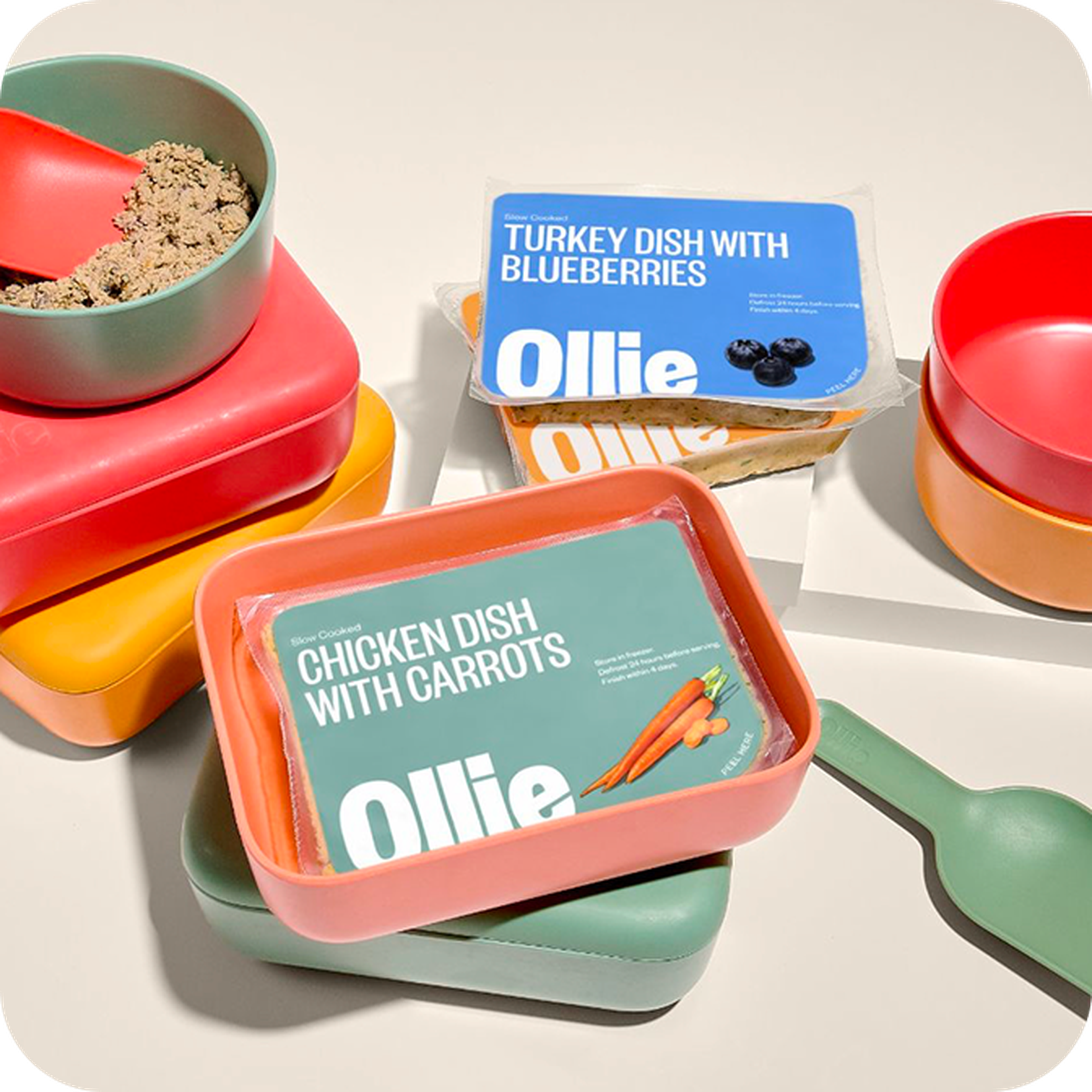 packs of fresh Ollie food along side  a scoop and puptainer