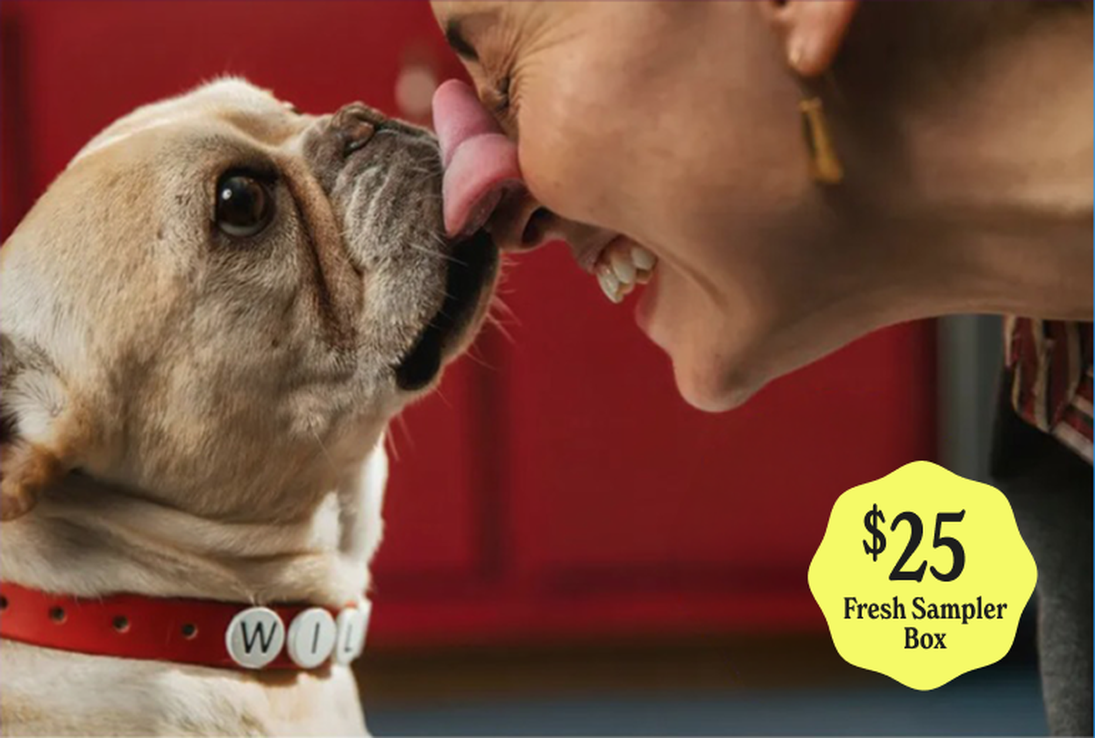 A French bulldog with a "WILD" collar licks a person's nose affectionately; a yellow sticker reads "$25 Fresh Sampler Box."
