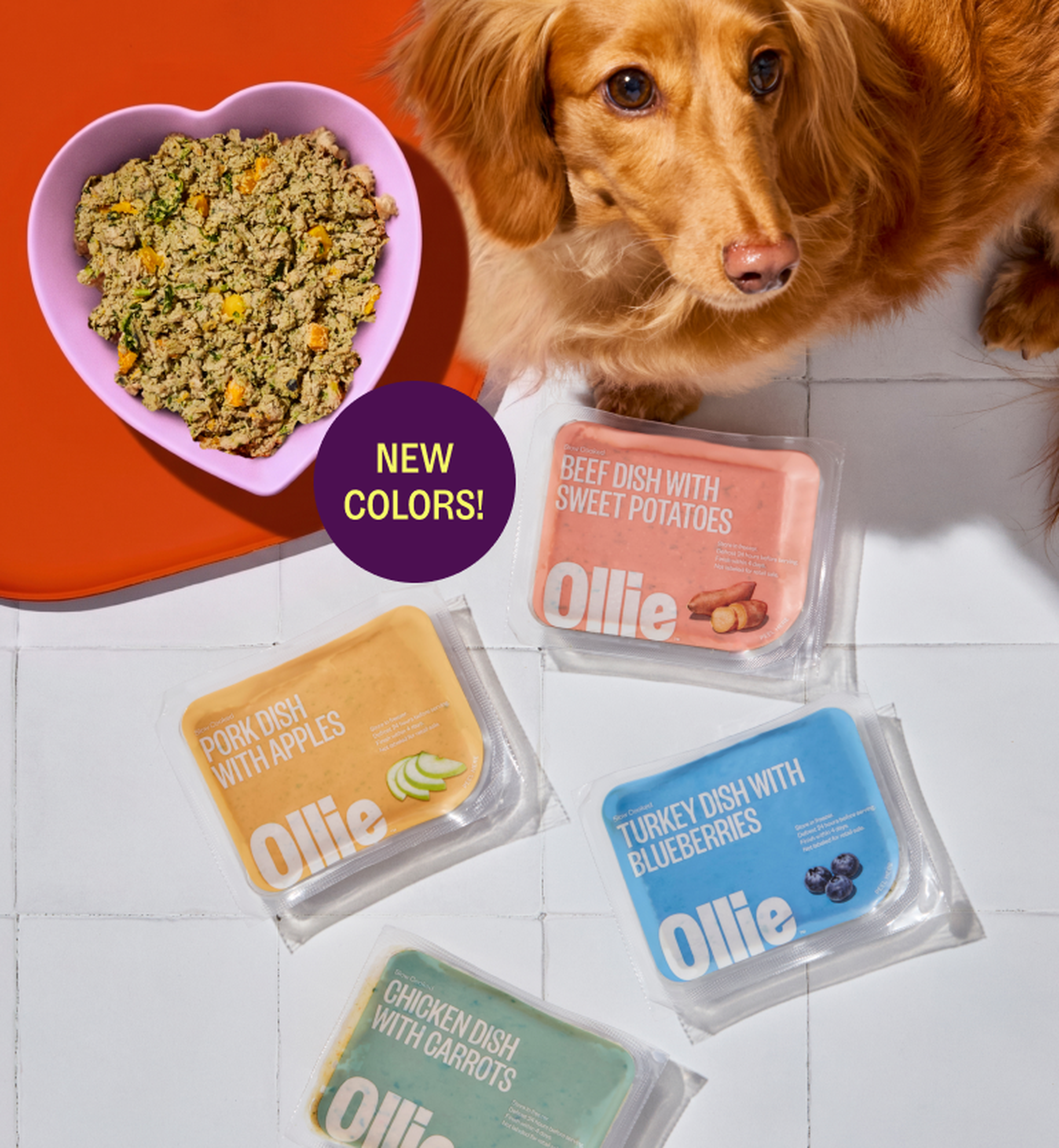 Dog looking at a bowl of food on a red mat, surrounded by colorful packs of Ollie dog food with flavors like beef, pork, turkey, and chicken.