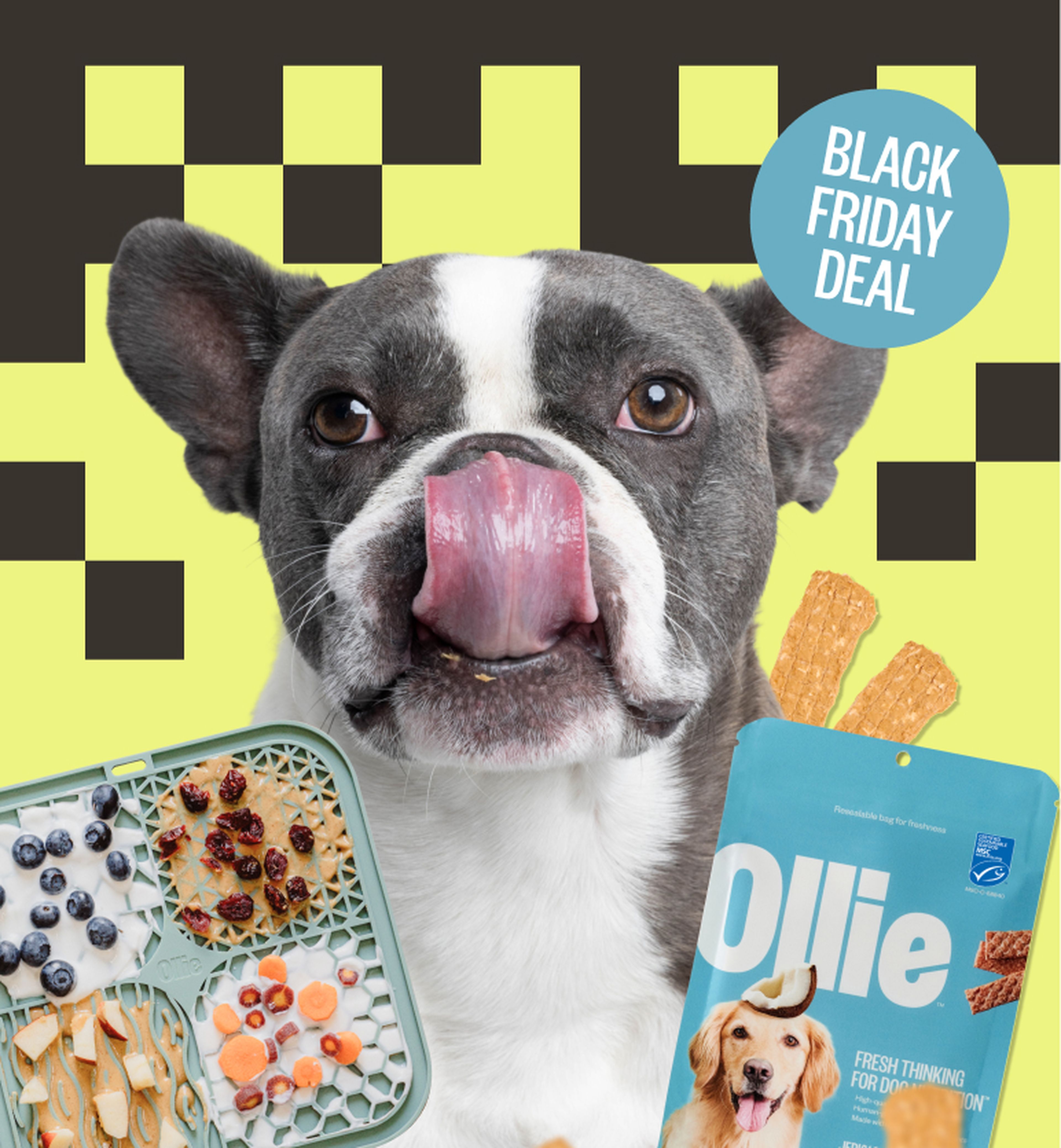 Image of a boxer breed dog flanked by our salmon treats and lick mat with a badge offering free treats for life