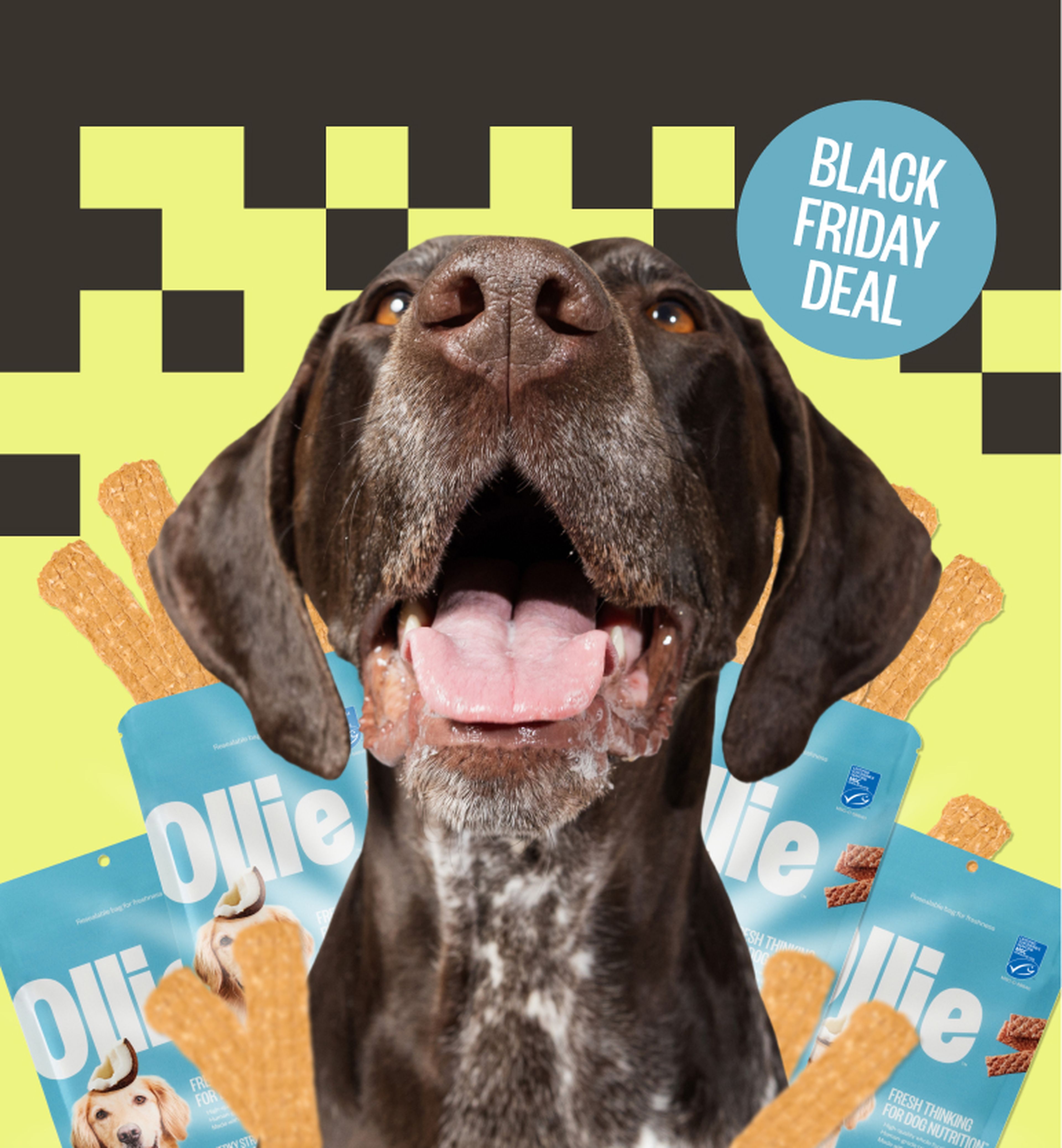 Image of a dog surrounded by our salmon jerky treats