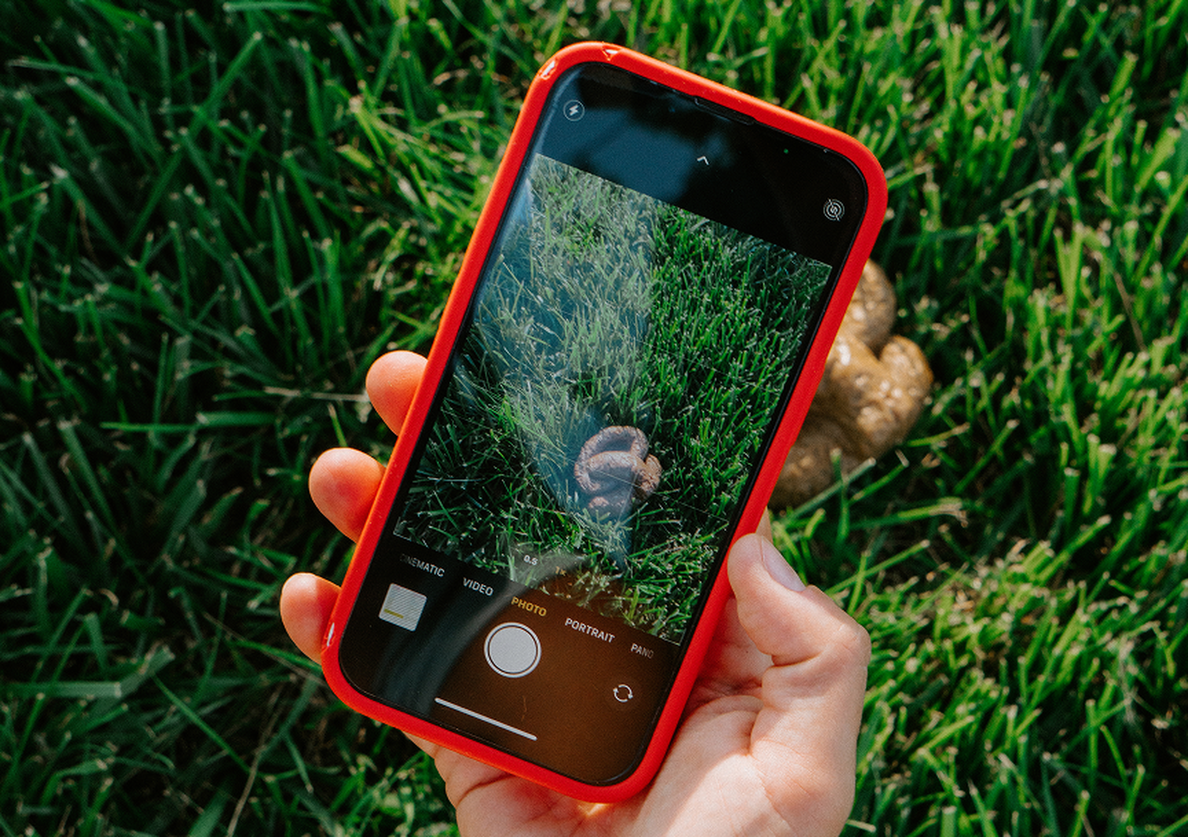 A hand holding a smartphone with a red case, capturing a photo of dog poop on grass.
